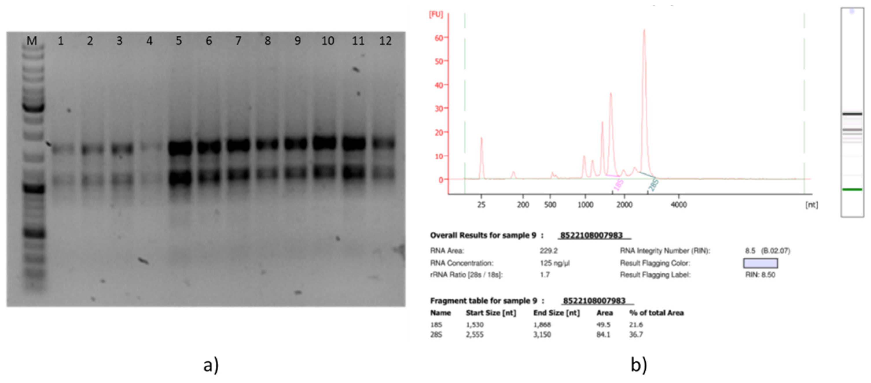 Blsf 11 00060 g004 550