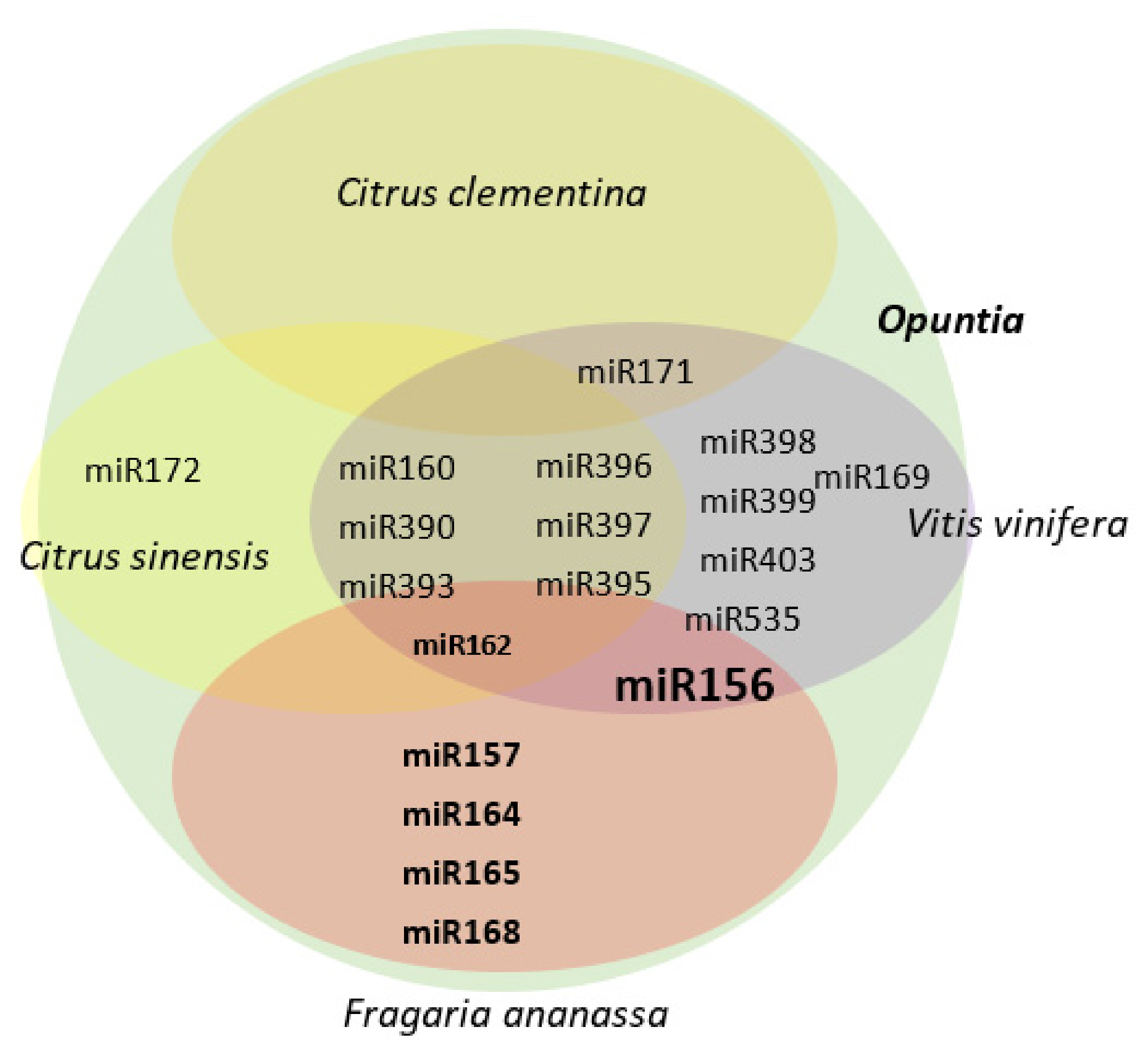 Blsf 11 00064 g001 550