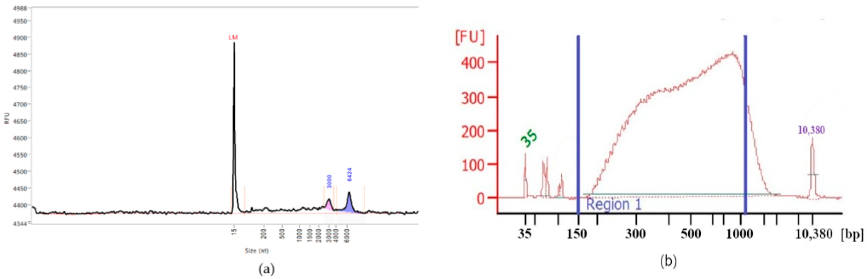 Blsf 11 00079 g001 550