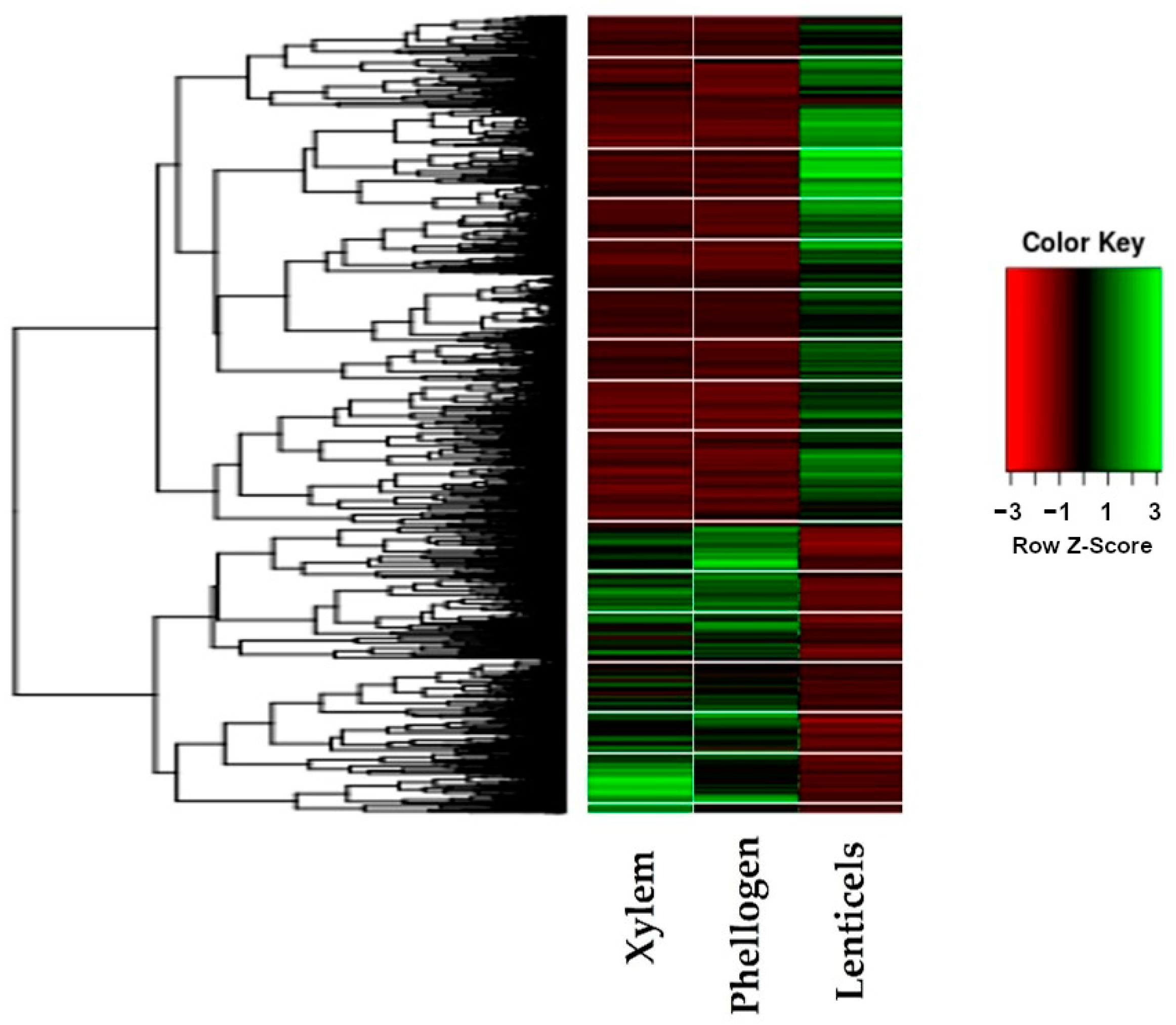 Blsf 11 00079 g003 550