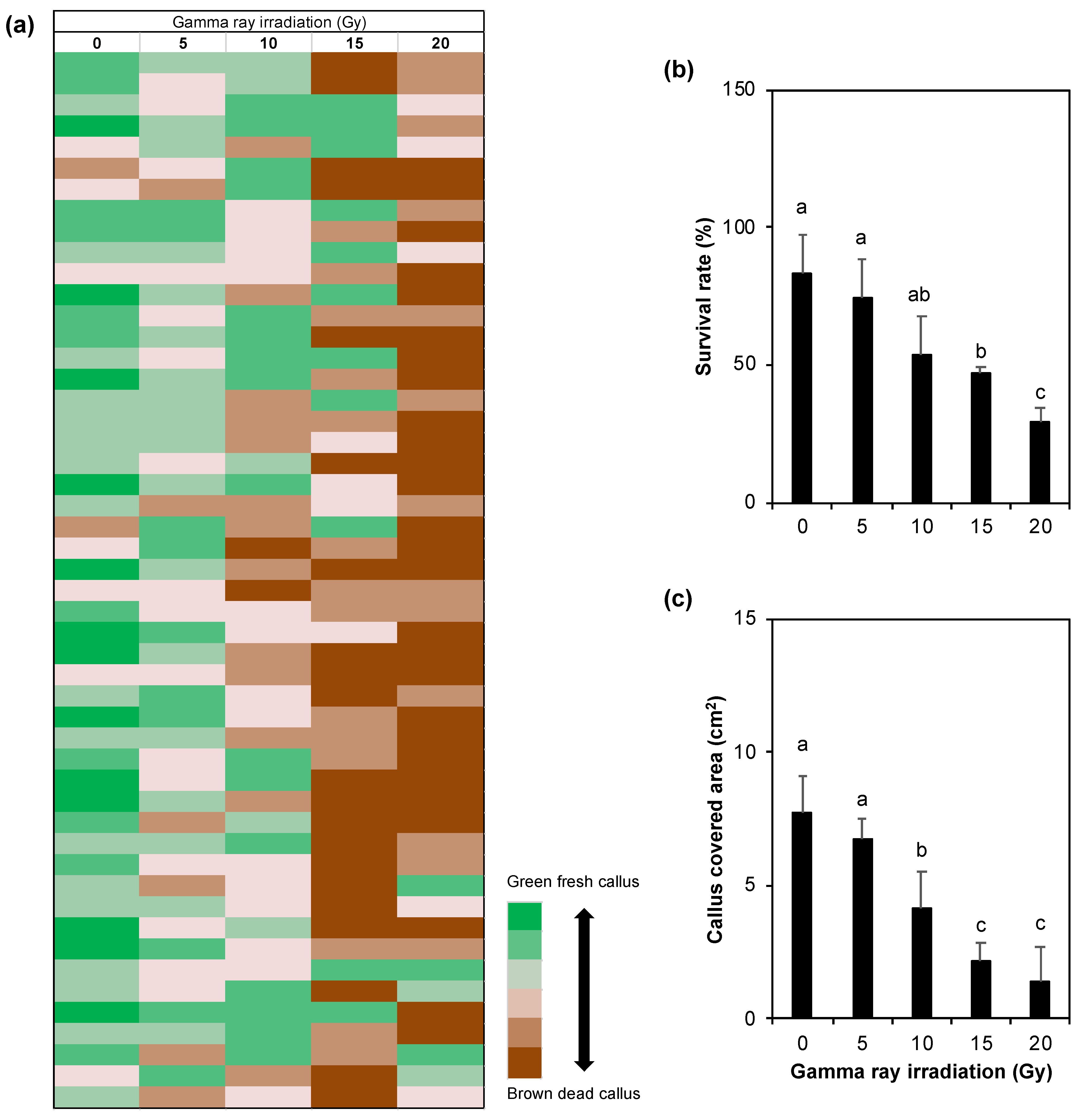 Blsf 11 00093 g002 Blsf 11 00093 g002