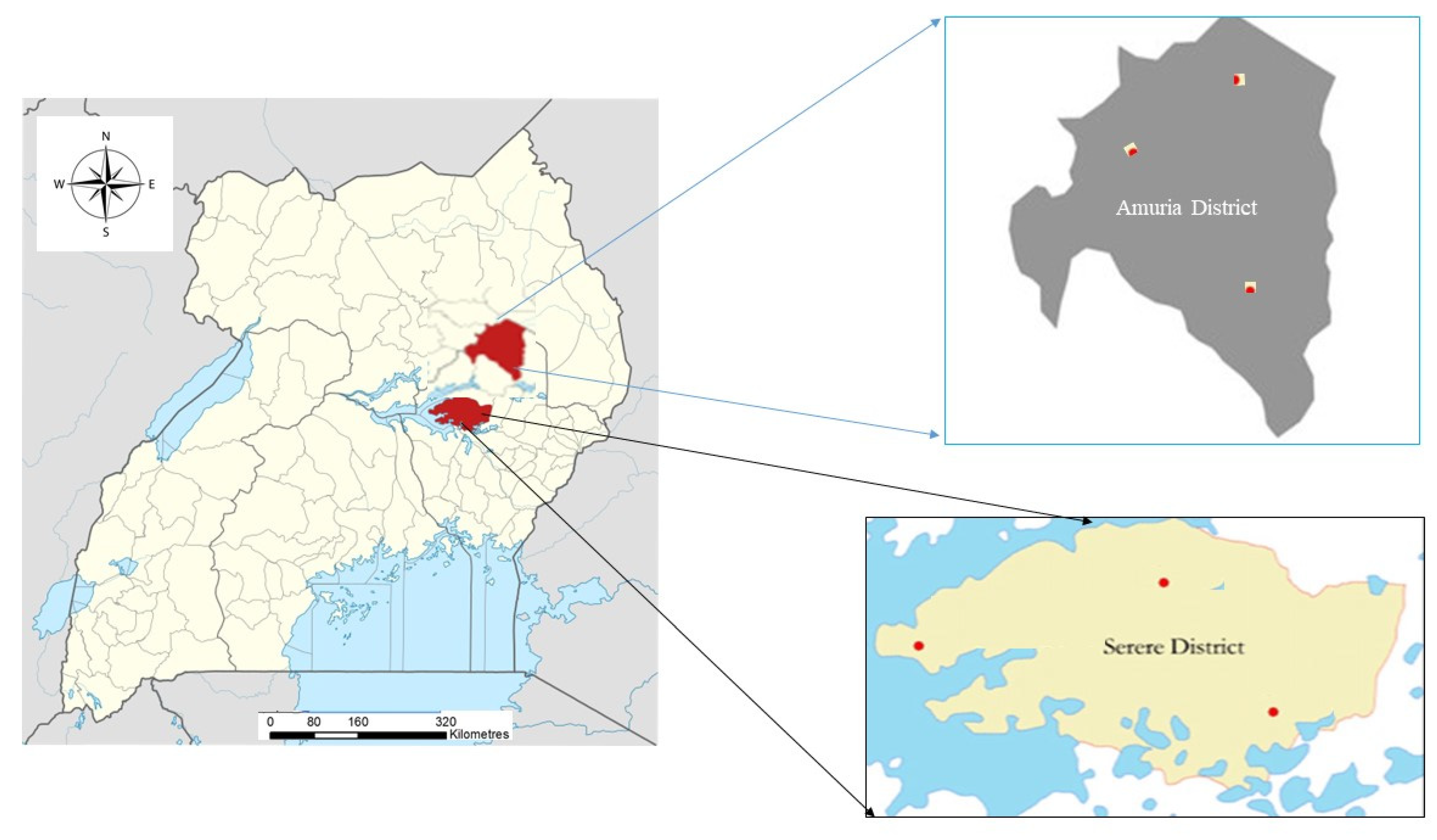 Blsf 15 00012 g001 550