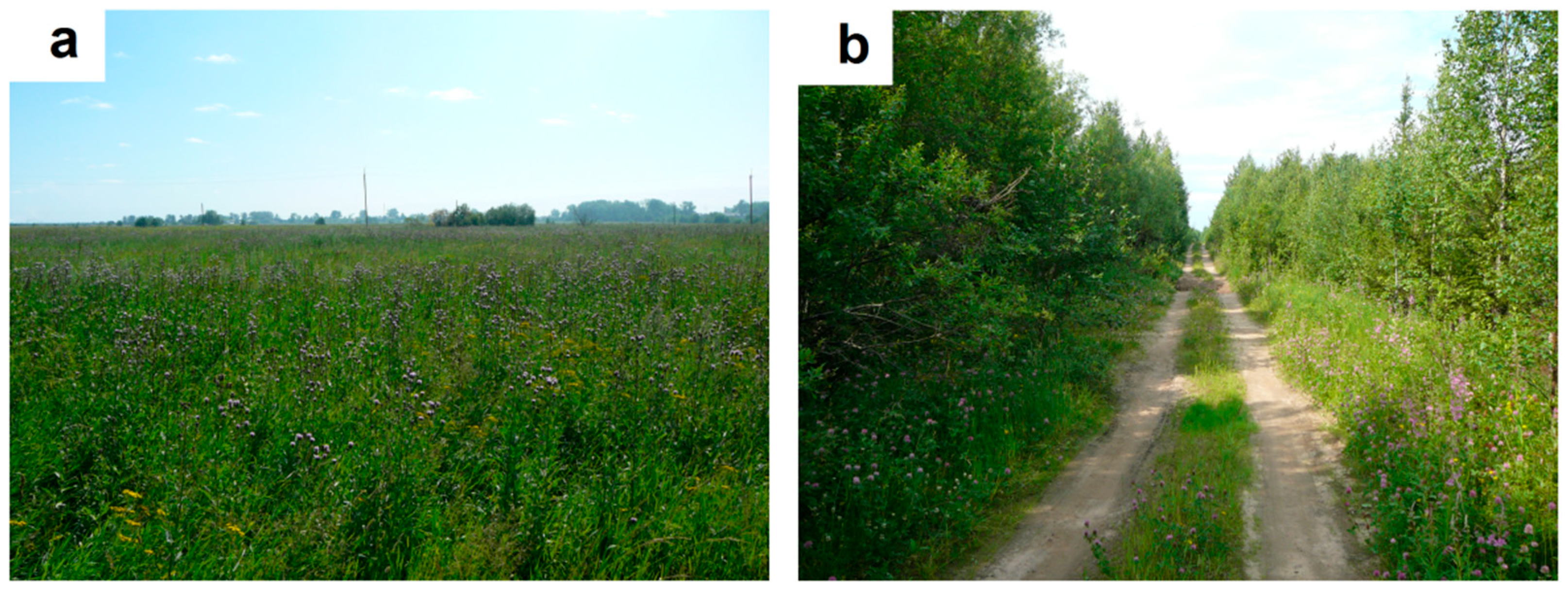 Blsf 15 00021 g001 550