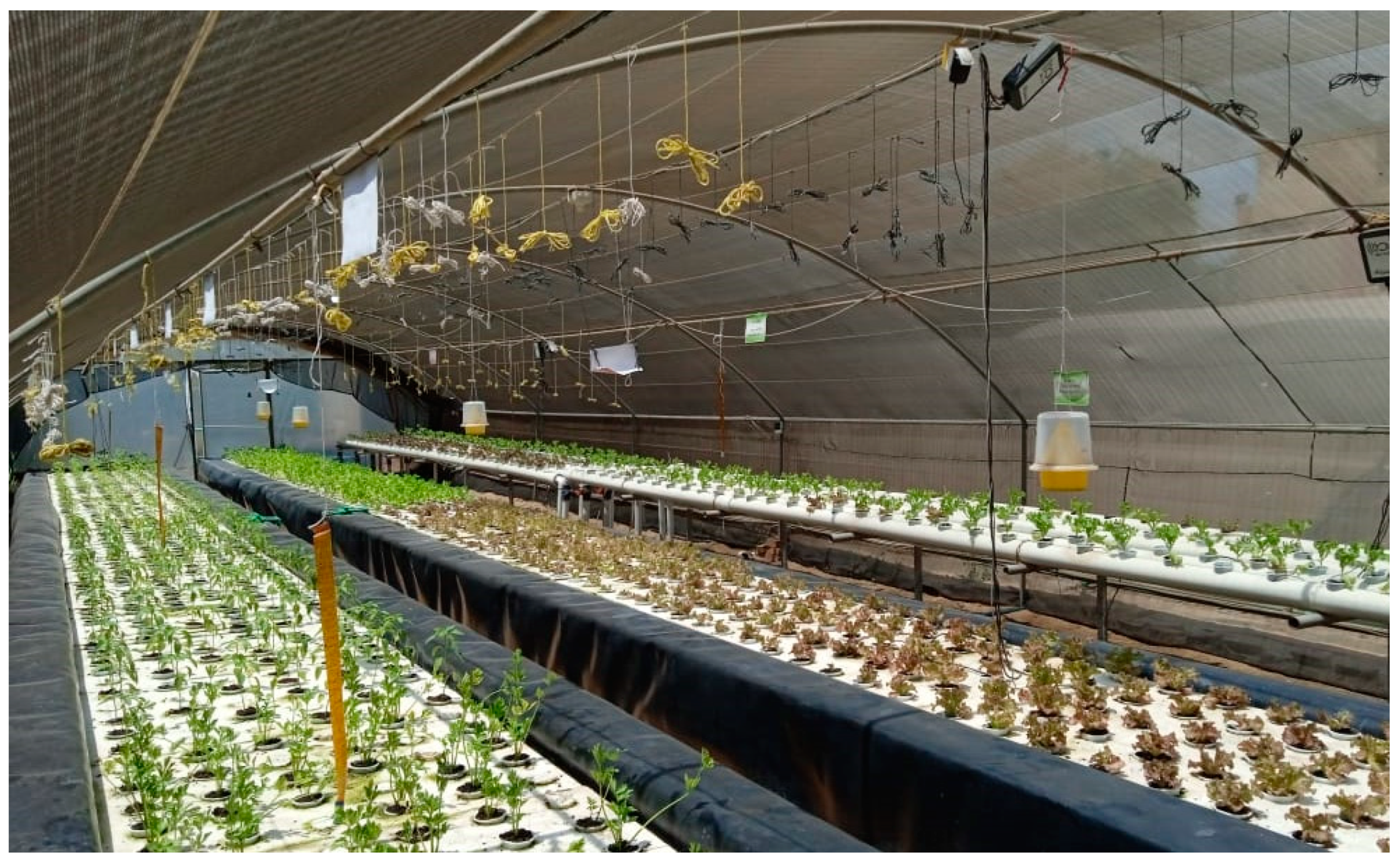 Blsf 16 00028 g001 550