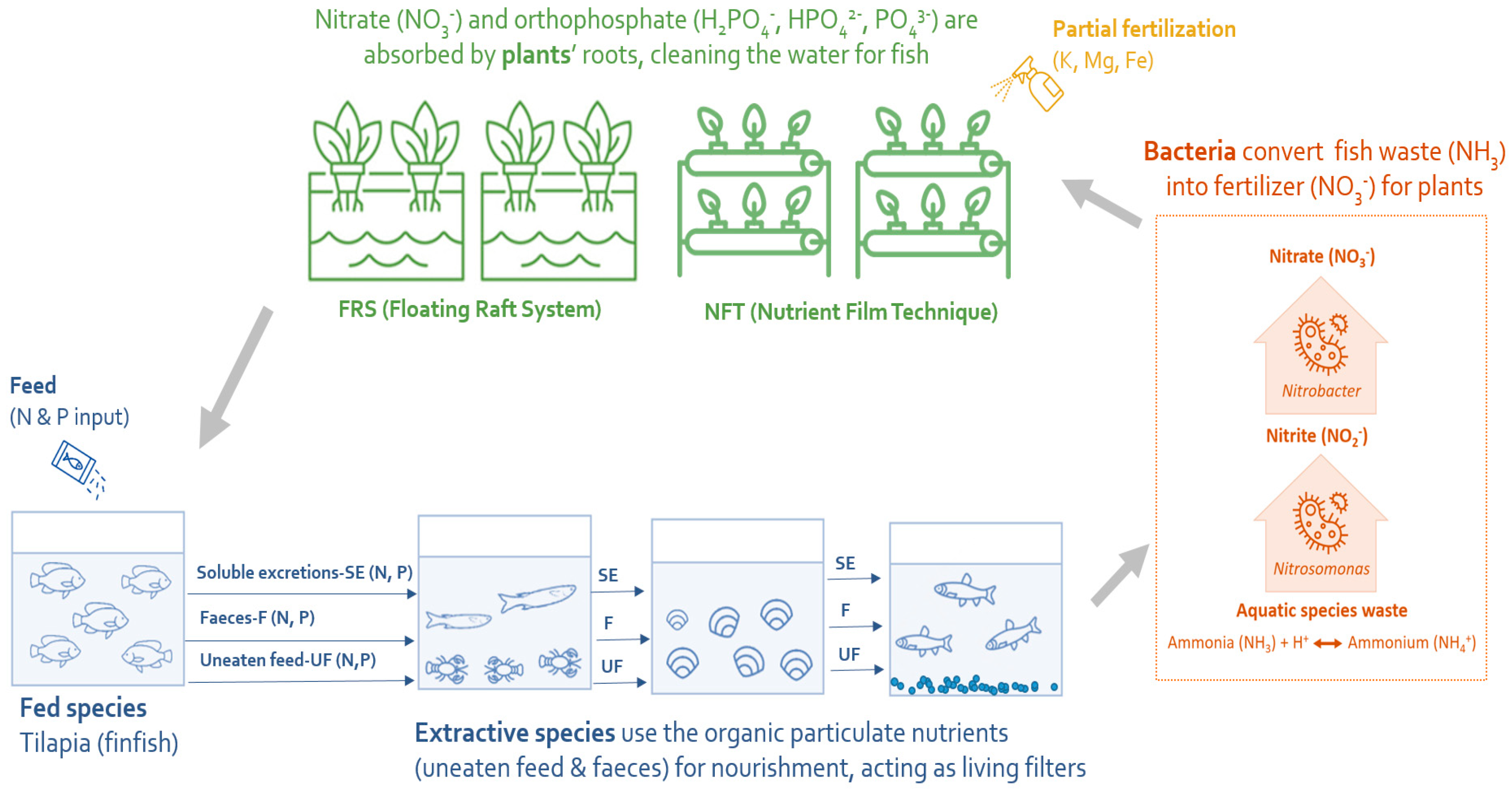 Blsf 16 00028 g004 550