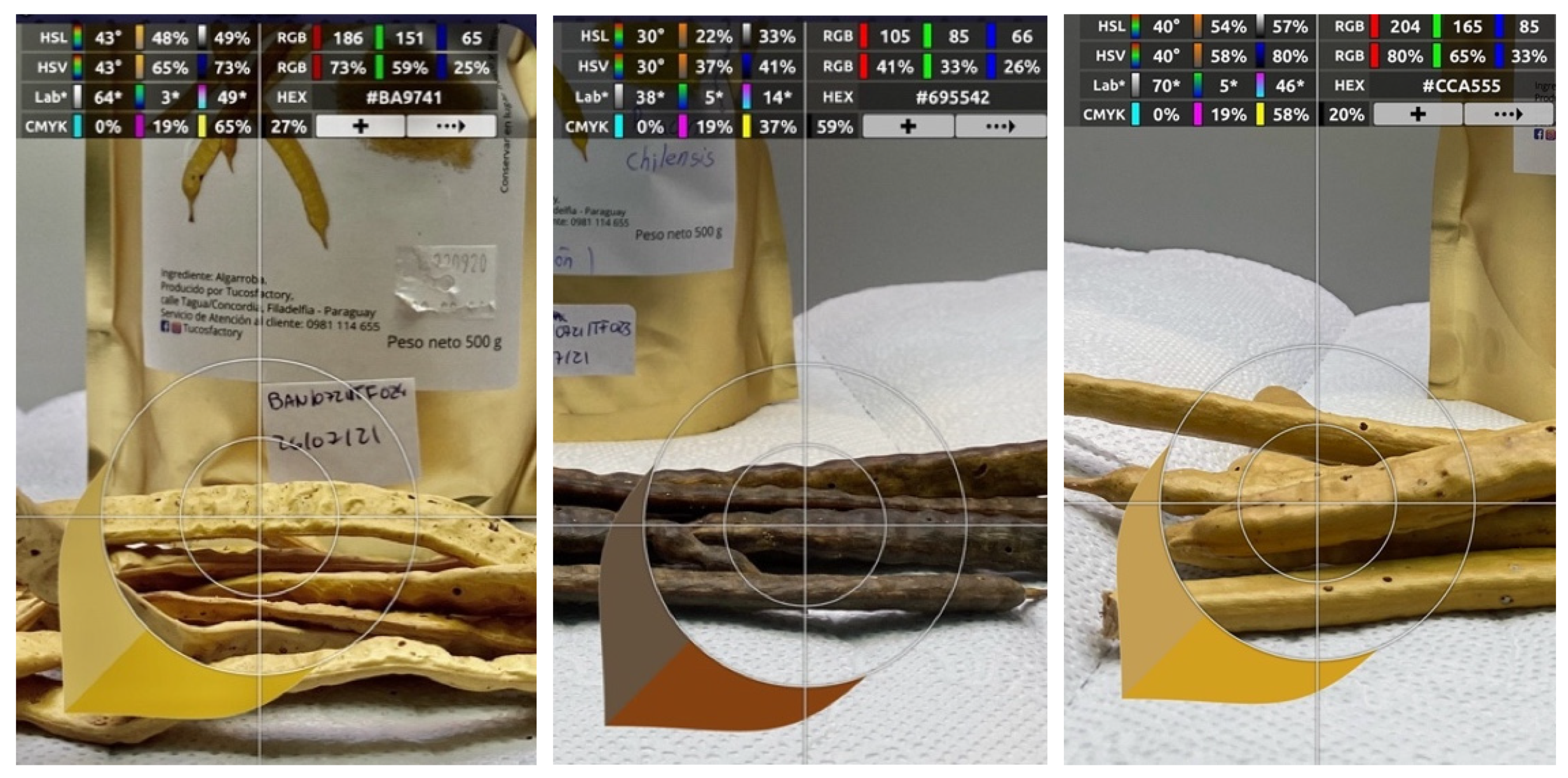 Blsf 17 00025 g001 Blsf 17 00025 g001