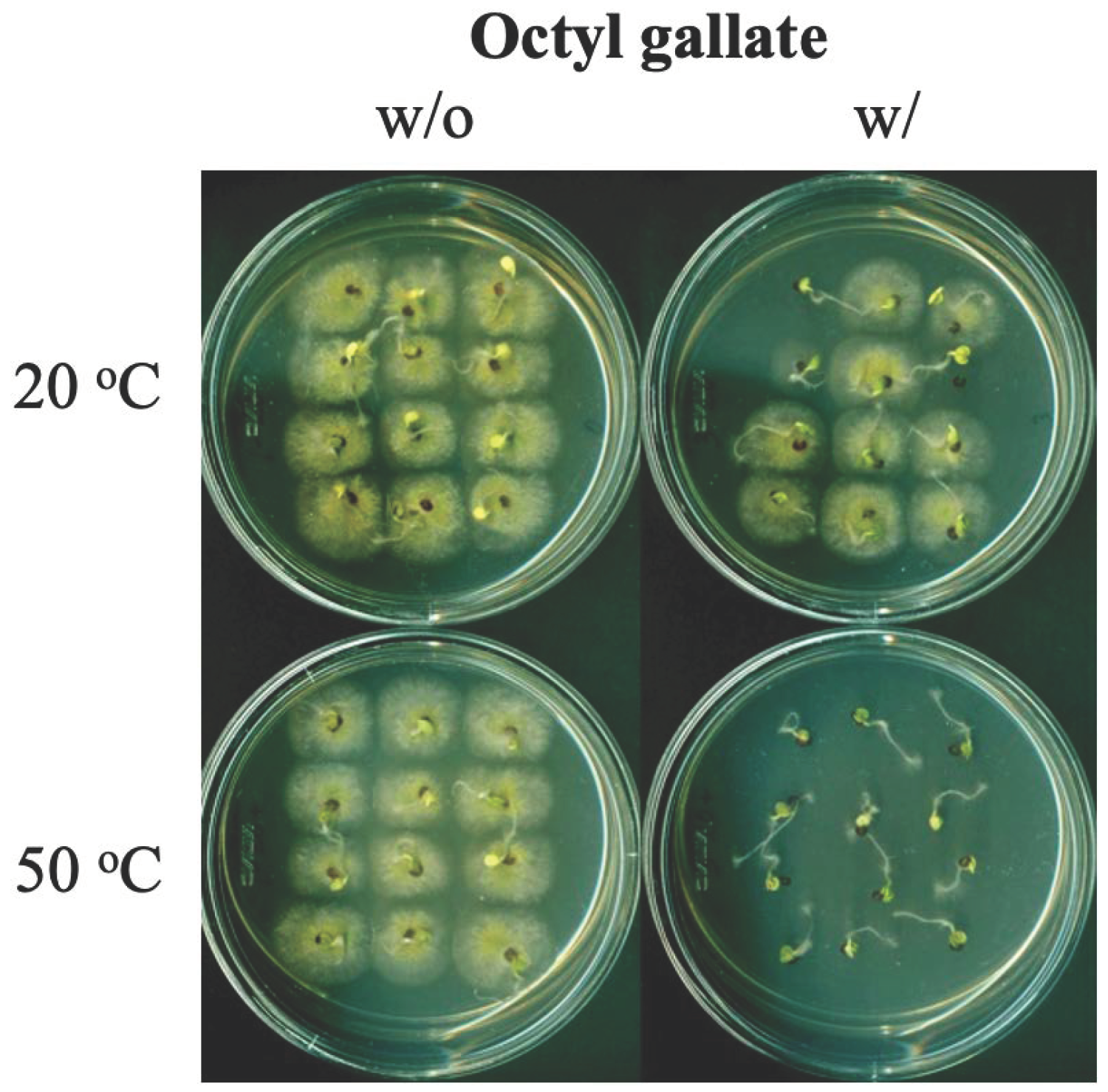 Blsf 18 00007 g002 550