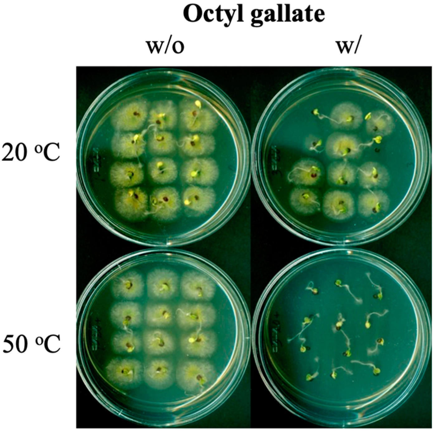 Blsf 18 00077 g002 550