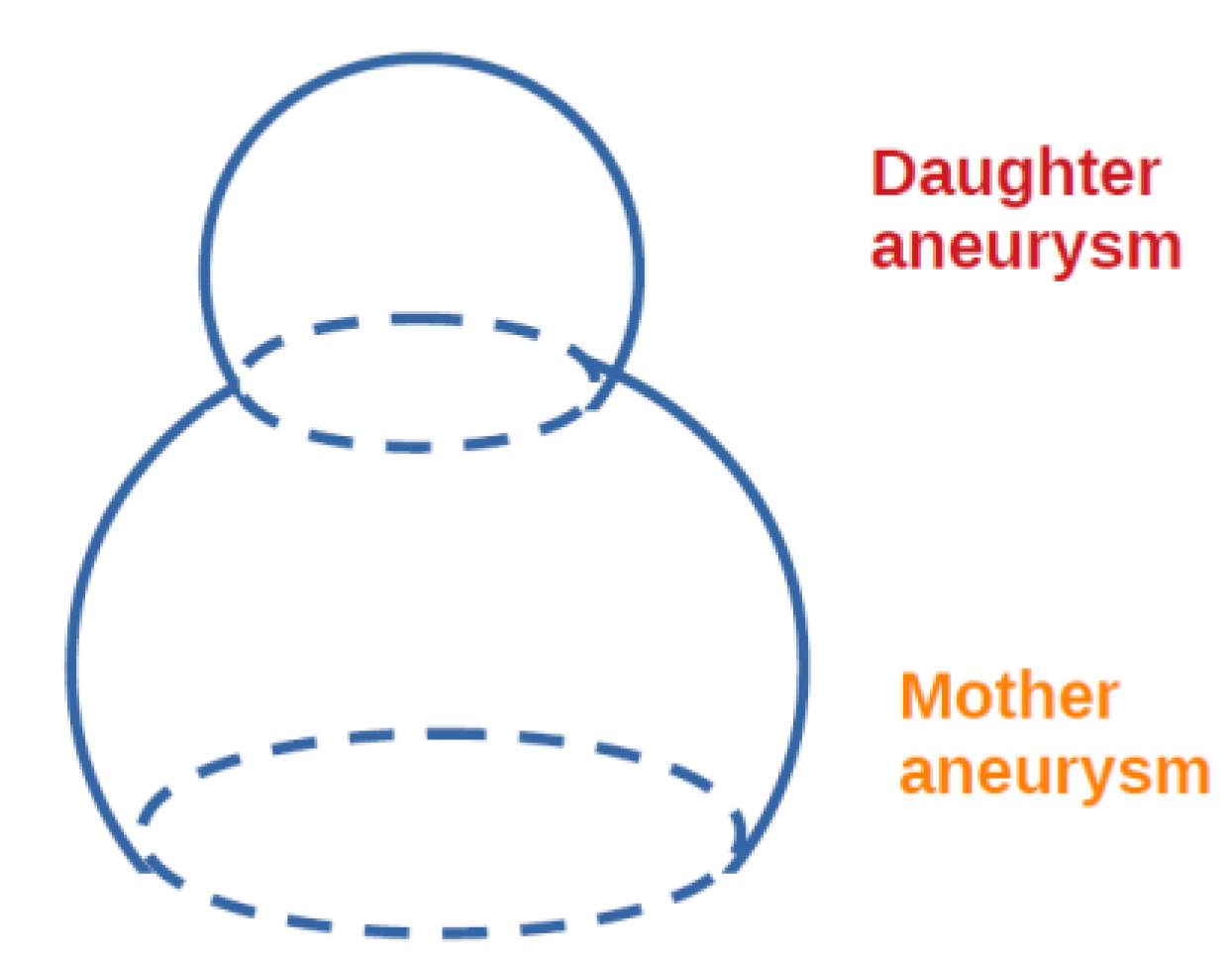 Blsf 19 00017 g001 Blsf 19 00017 g001