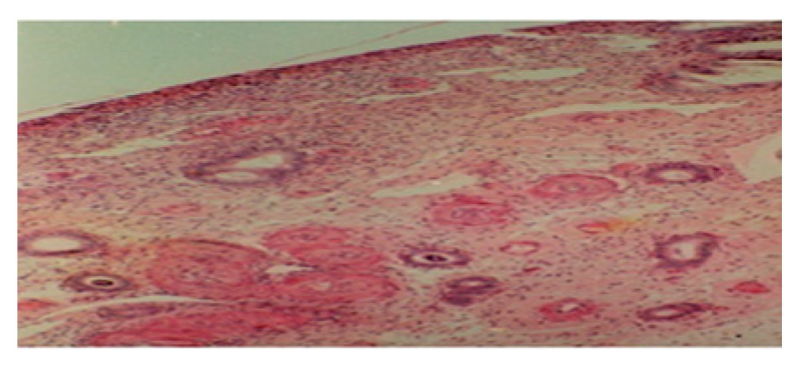 Blsf 22 00021 g005 Blsf 22 00021 g005