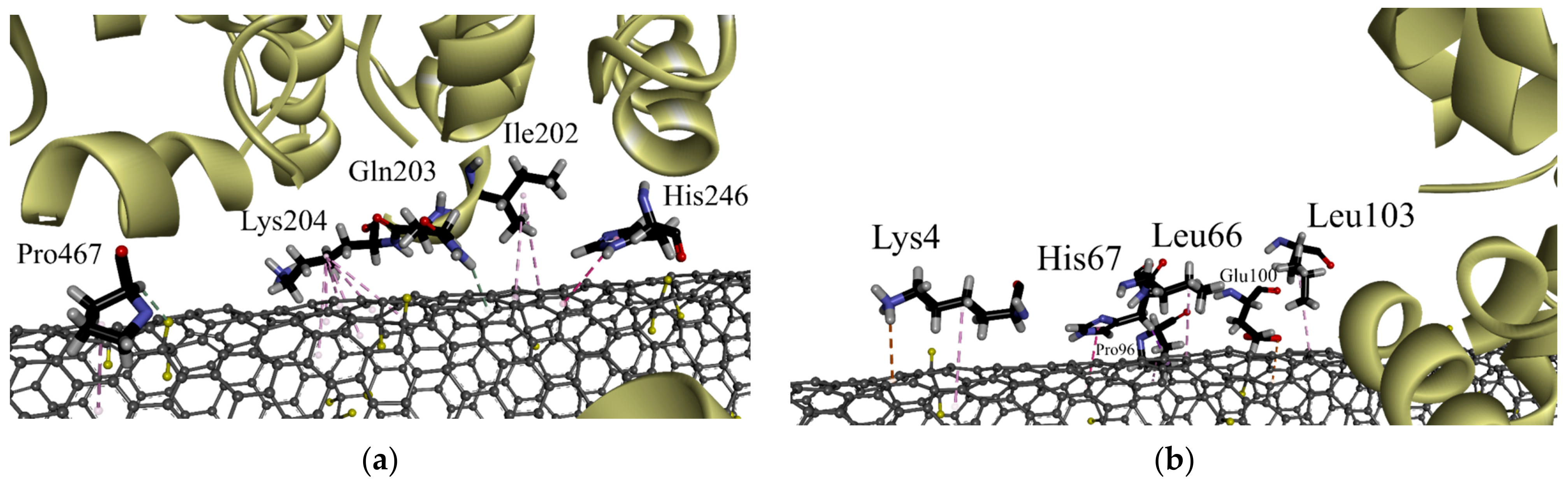 Blsf 35 00005 g003 Blsf 35 00005 g003