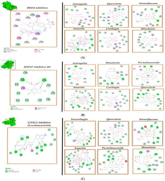 In-Silico Investigation of Phyllanthus niruri Phytochemicals as