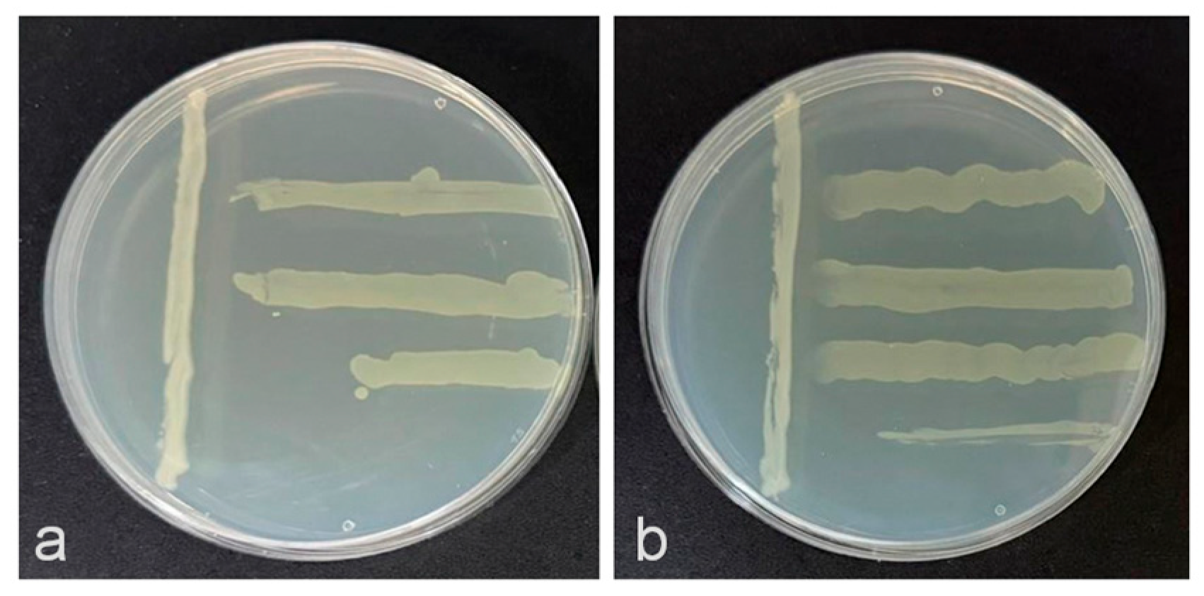 Blsf 46 00005 g001 Blsf 46 00005 g001