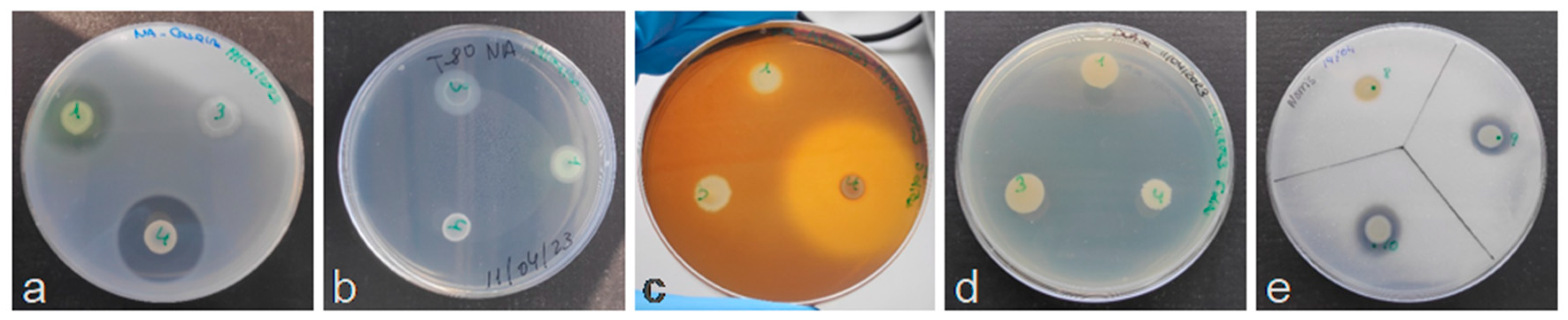 Blsf 46 00005 g003 Blsf 46 00005 g003