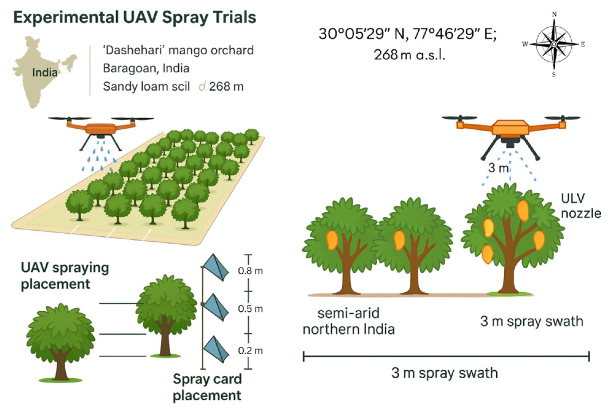 Blsf 47 00004 g001 Blsf 47 00004 g001