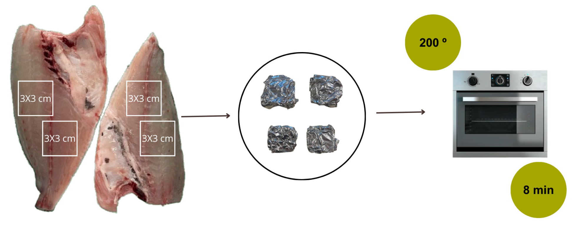 Blsf 56 00003 g001 Blsf 56 00003 g001