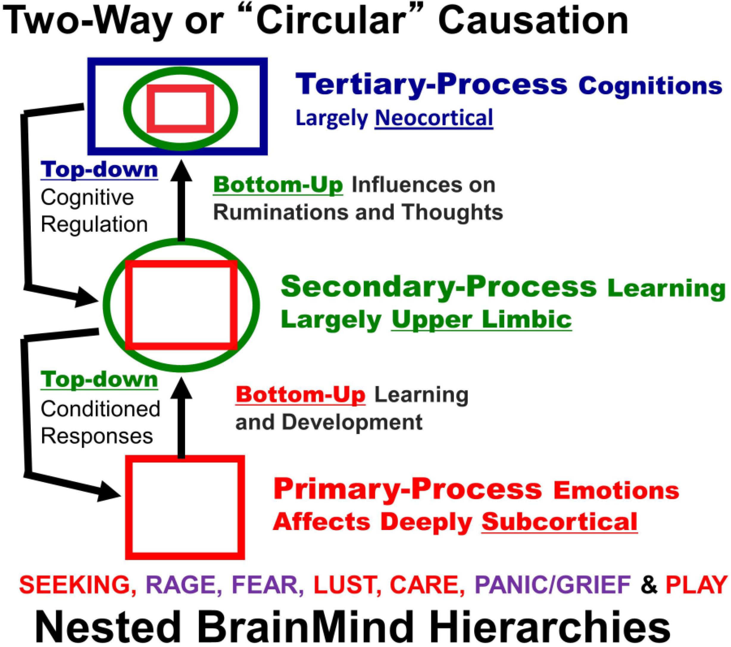 The Mind and the Brain - Antonio Damasio at BrainMind 