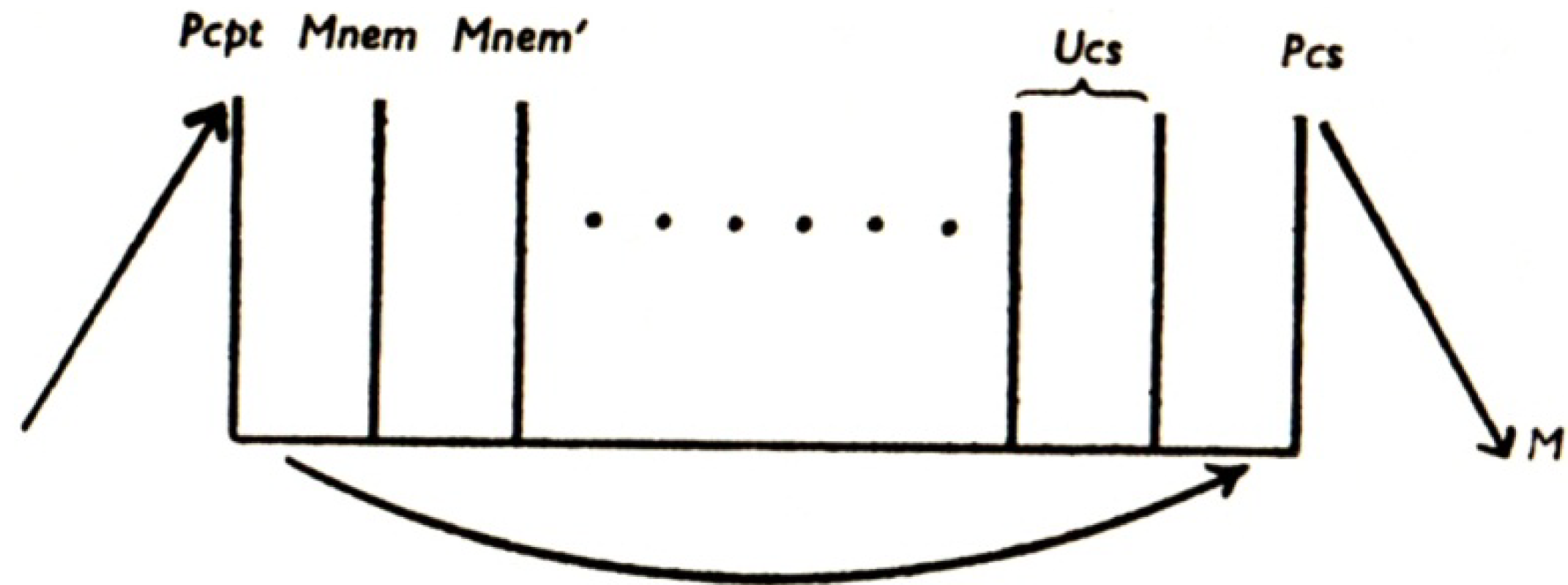 Brainsci 02 00147 g002