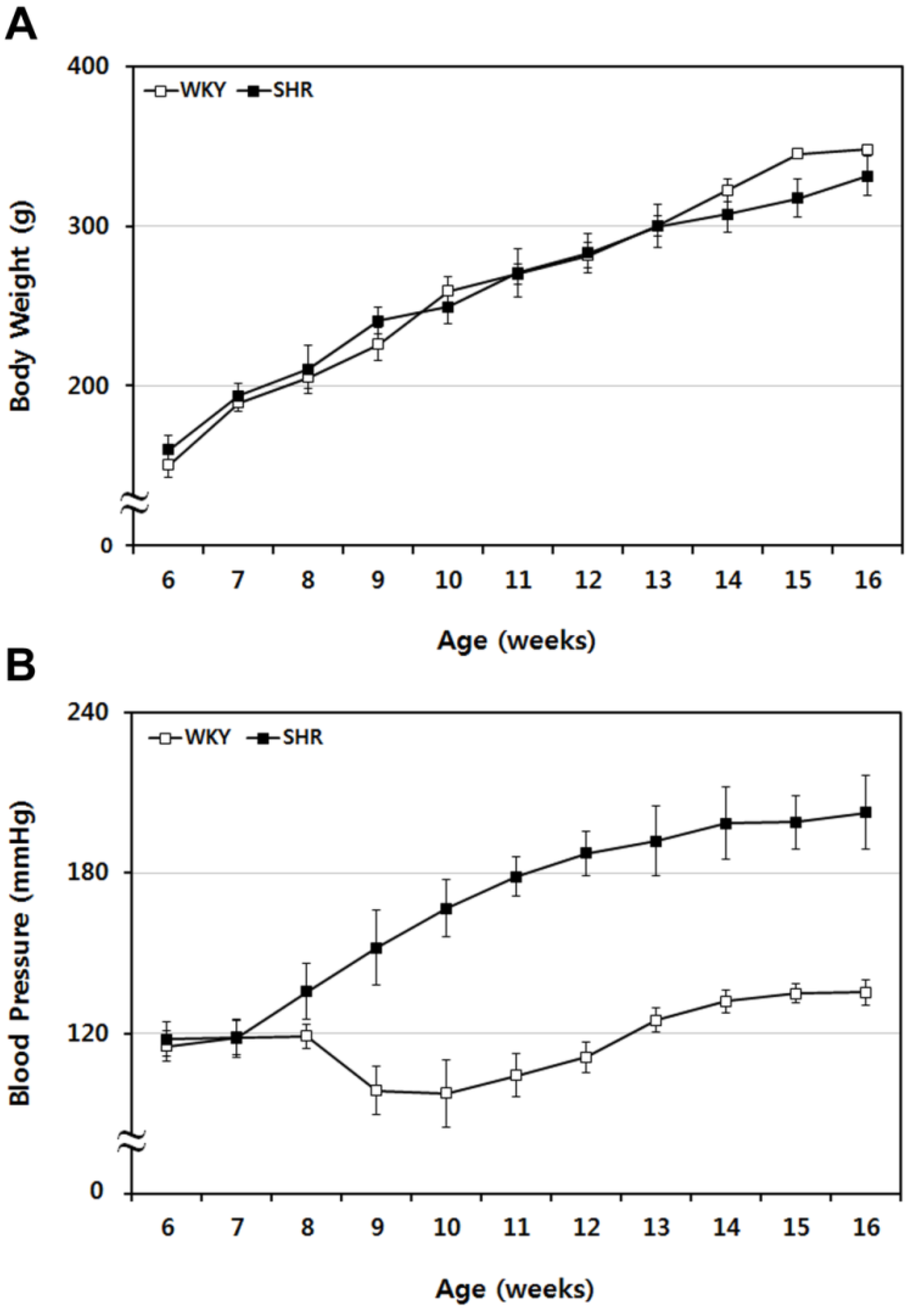 Brainsci 02 00483 g001