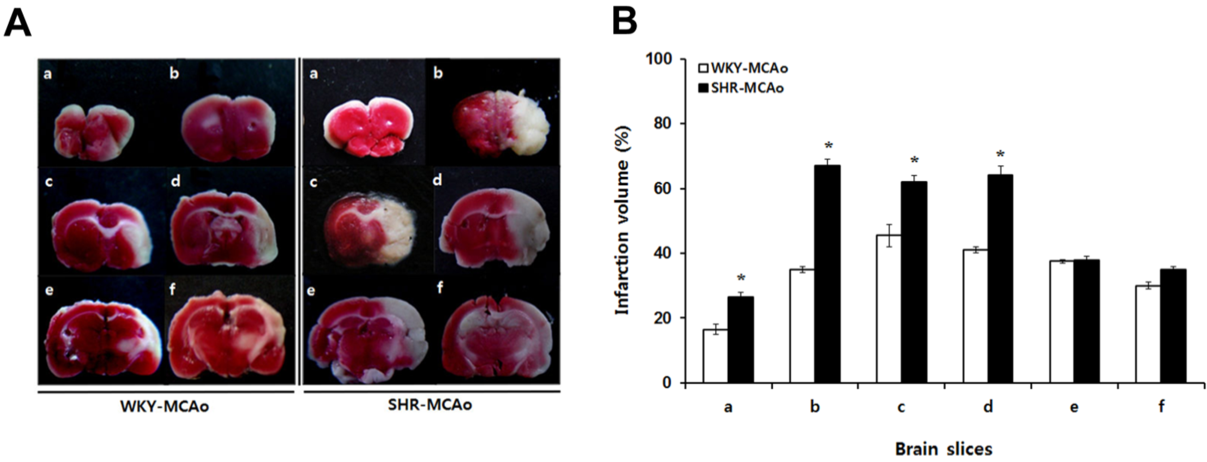Brainsci 02 00483 g002