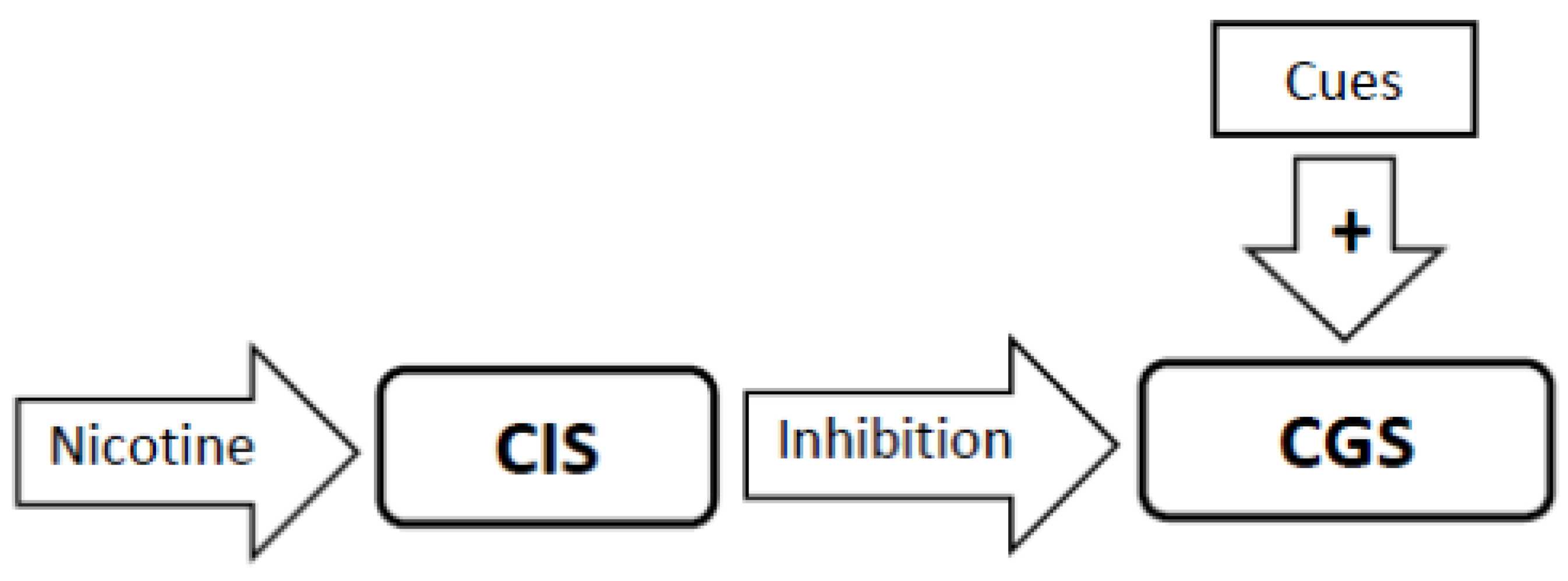 Brainsci 02 00523 g002 1024