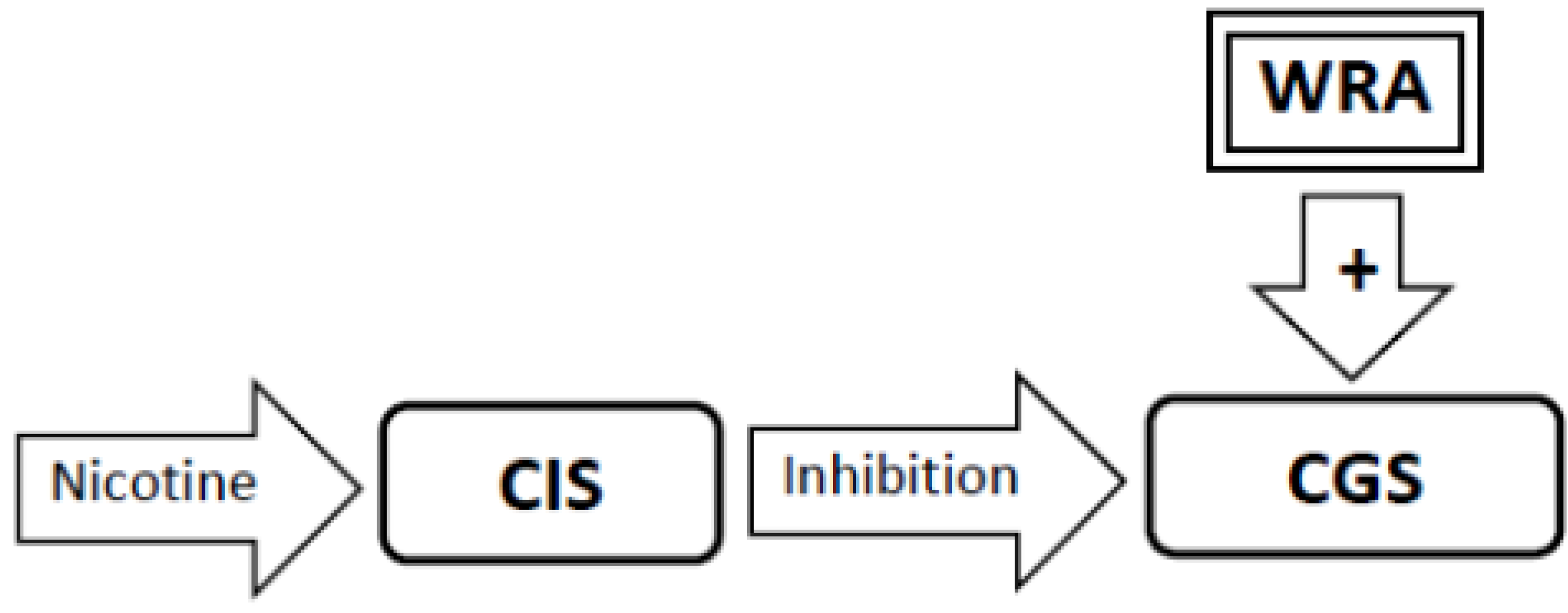 Brainsci 02 00523 g003 1024