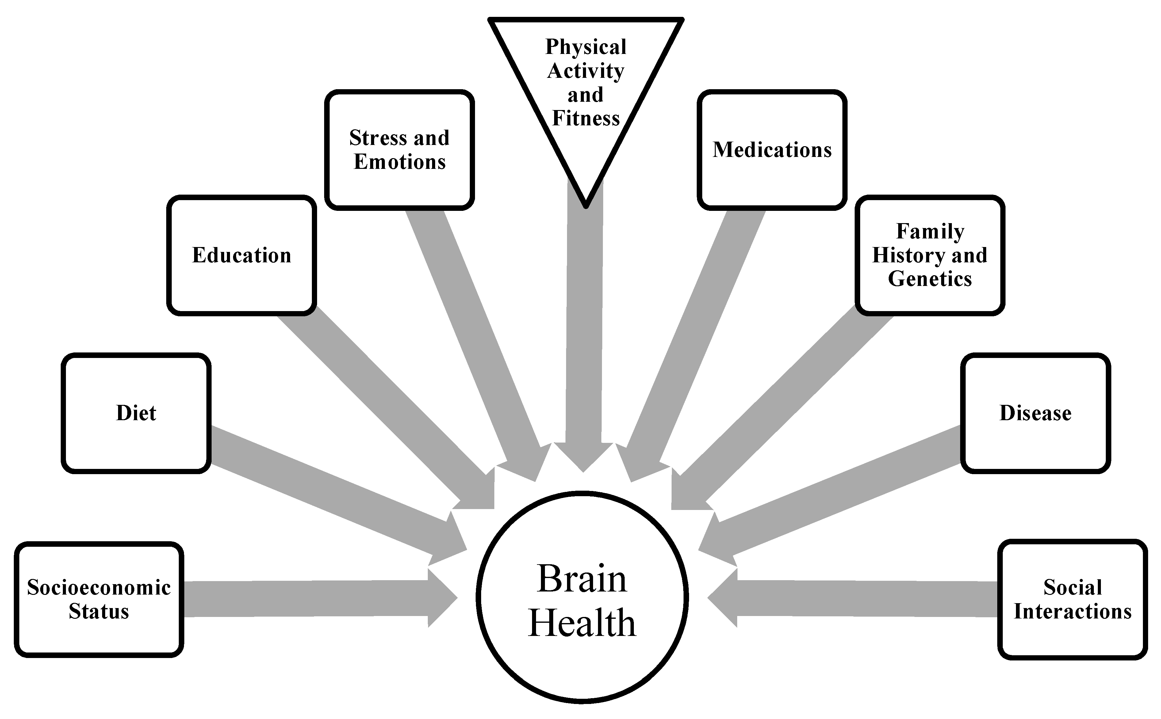 Physical activity and cognitive. Physics activity. Physical activity and neurogenes. Physical activity and Mental Health.