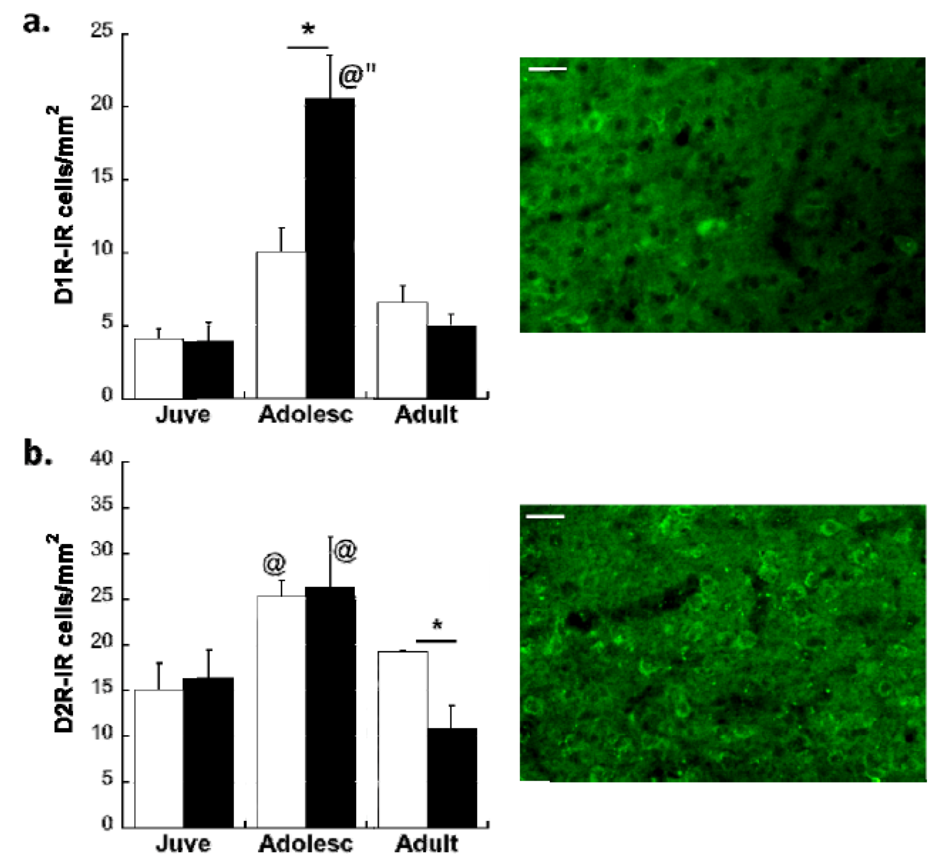 Brainsci 03 00143 g001