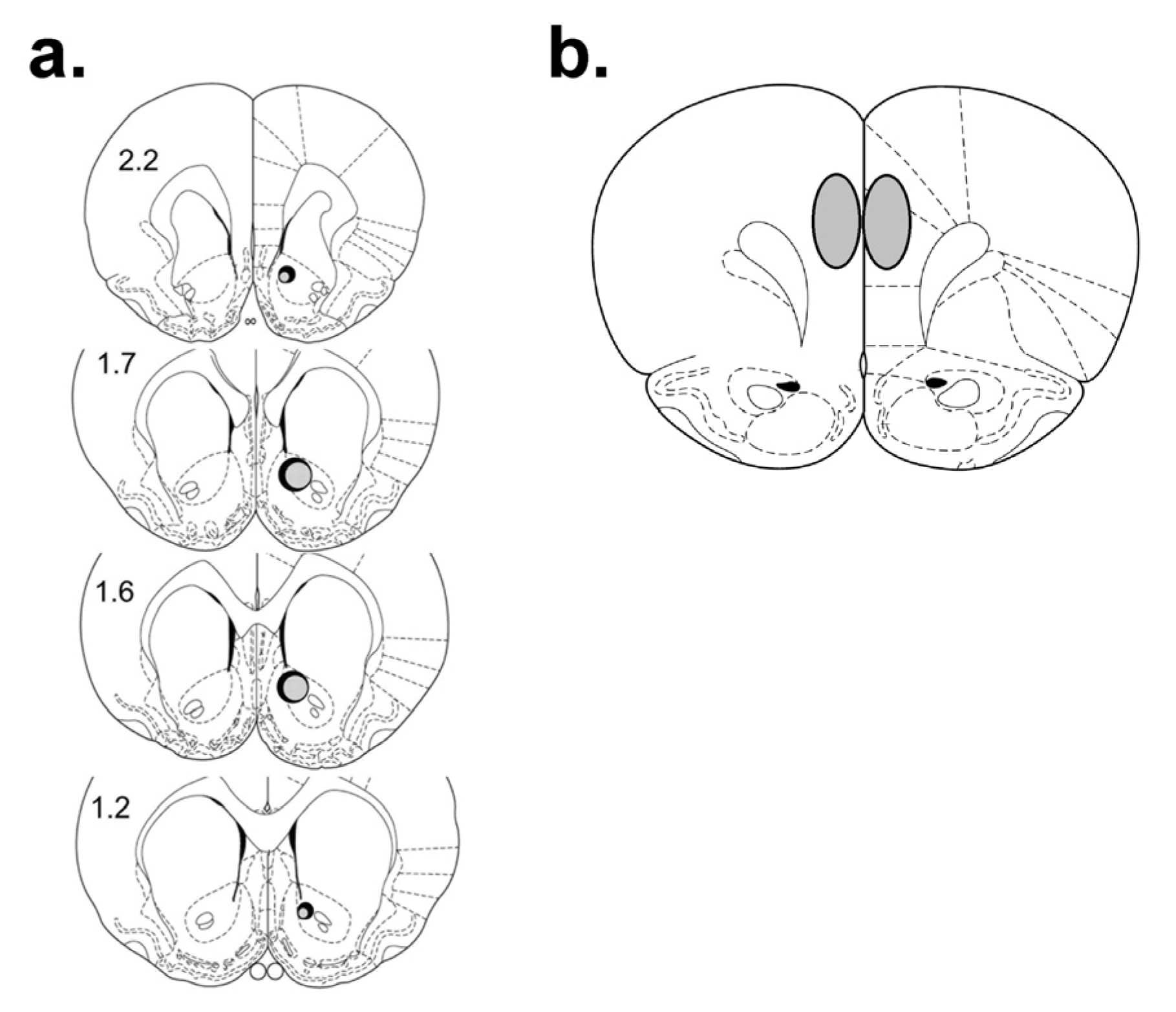 Brainsci 03 00143 g006