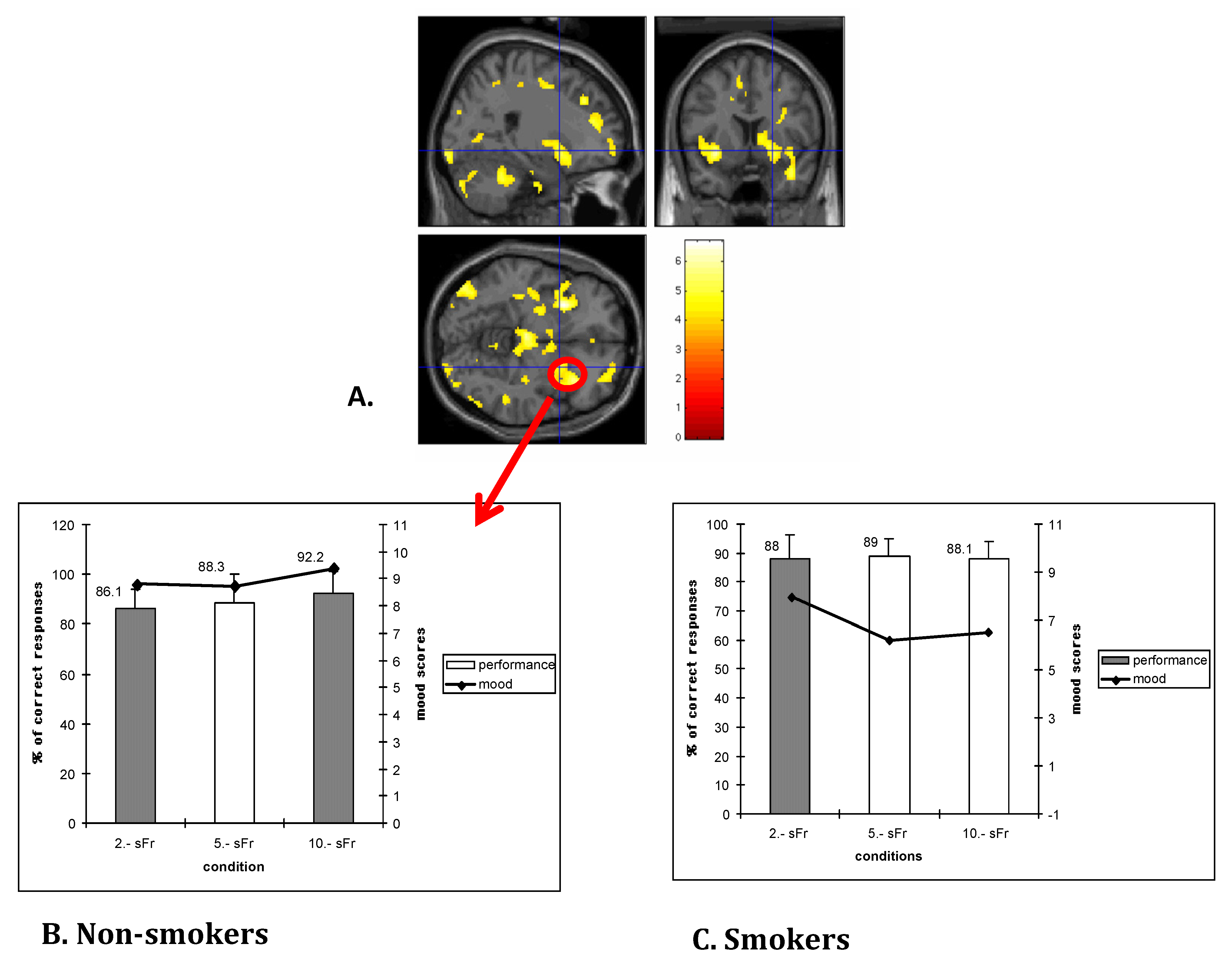 Brainsci 03 00159 g002