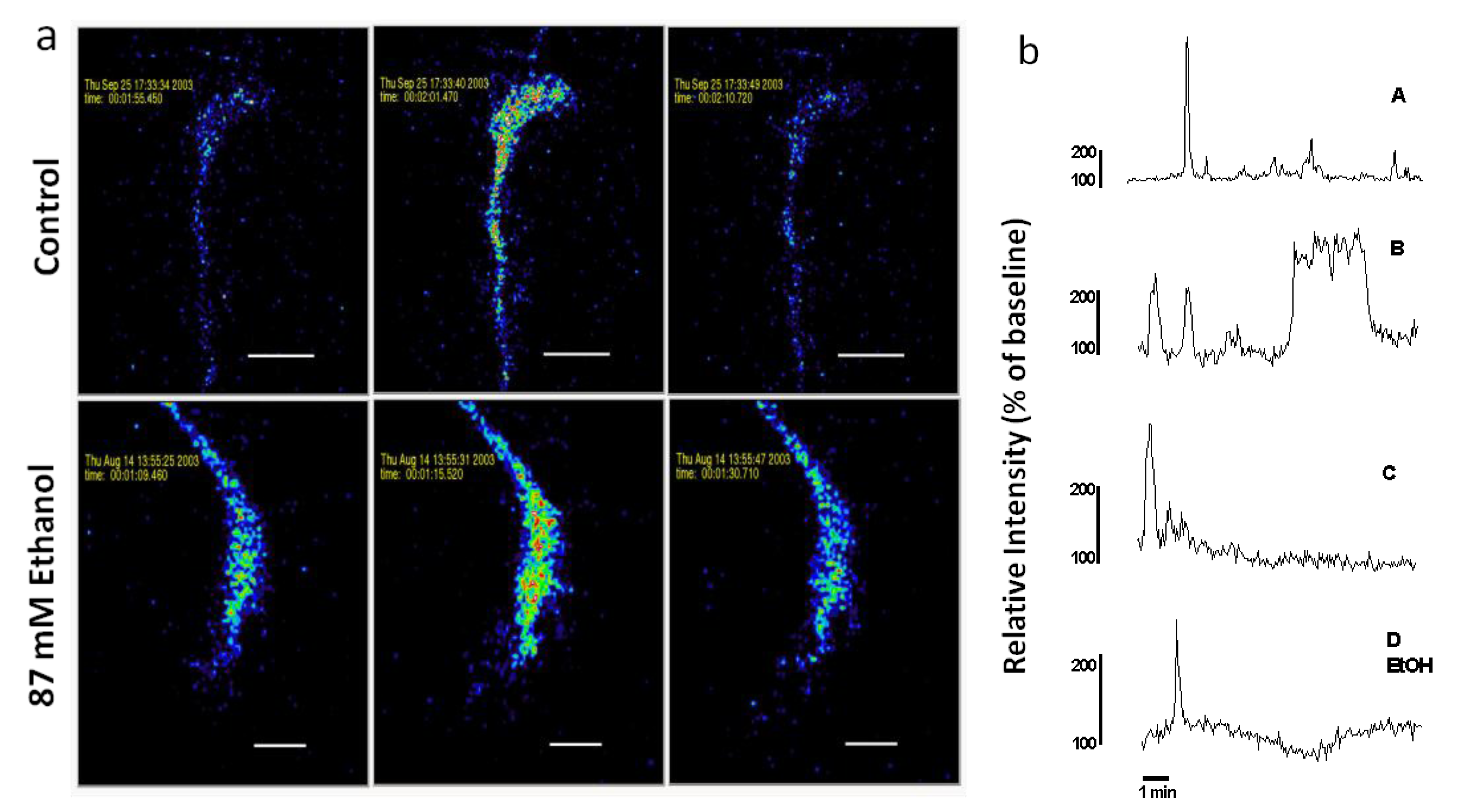 Brainsci 03 00615 g002 1024