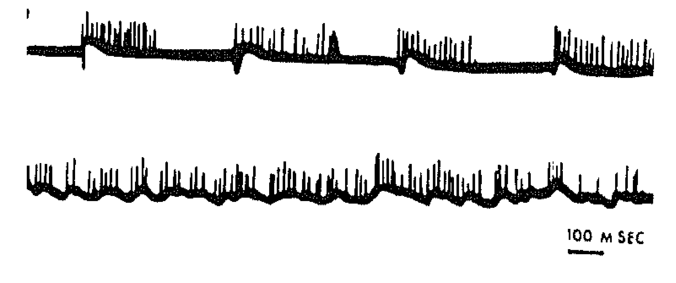 Brainsci 03 00800 g004