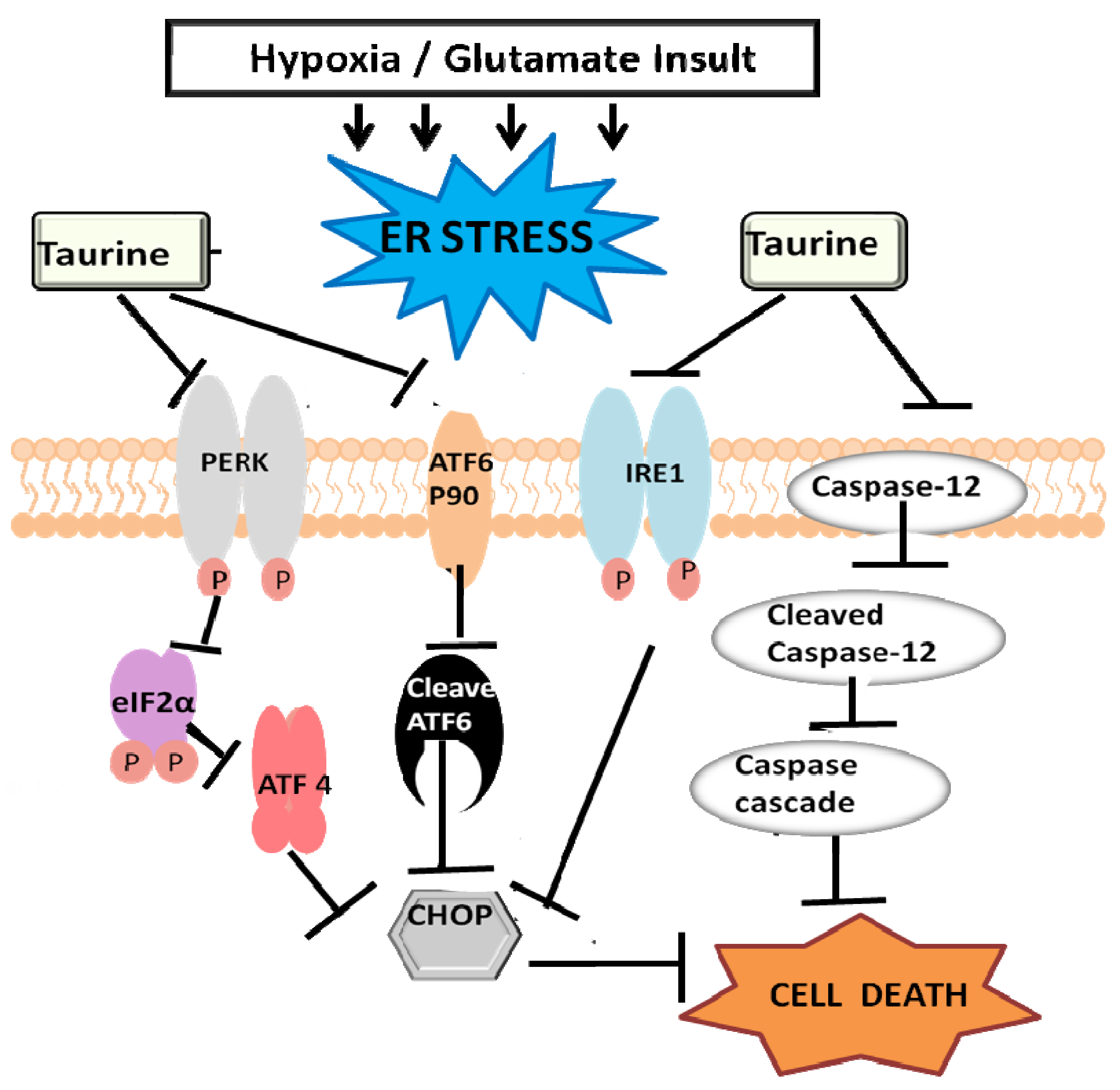 taurine dosage for anxiety taurine dosage for anxiety