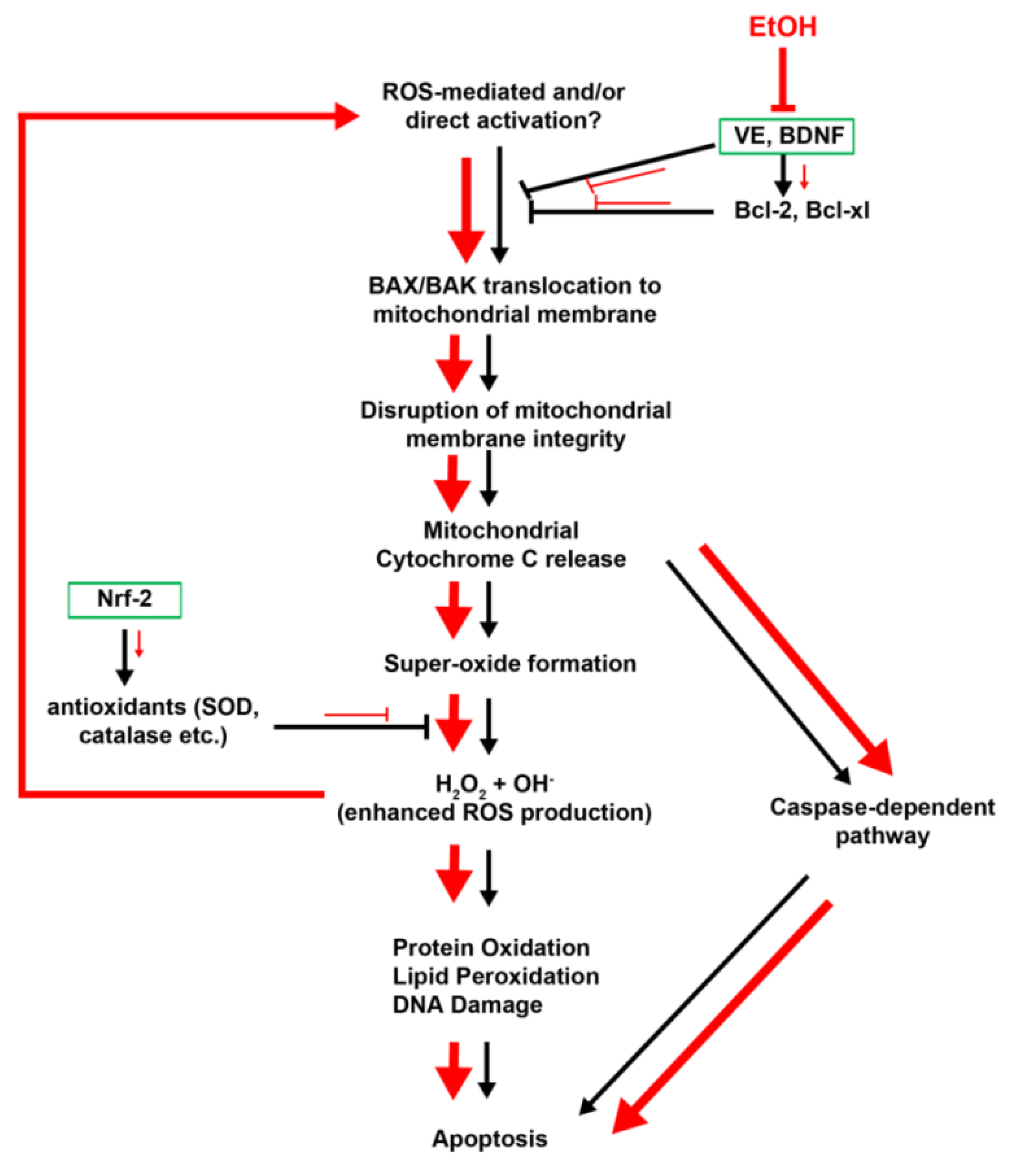 Brainsci 03 00964 g004