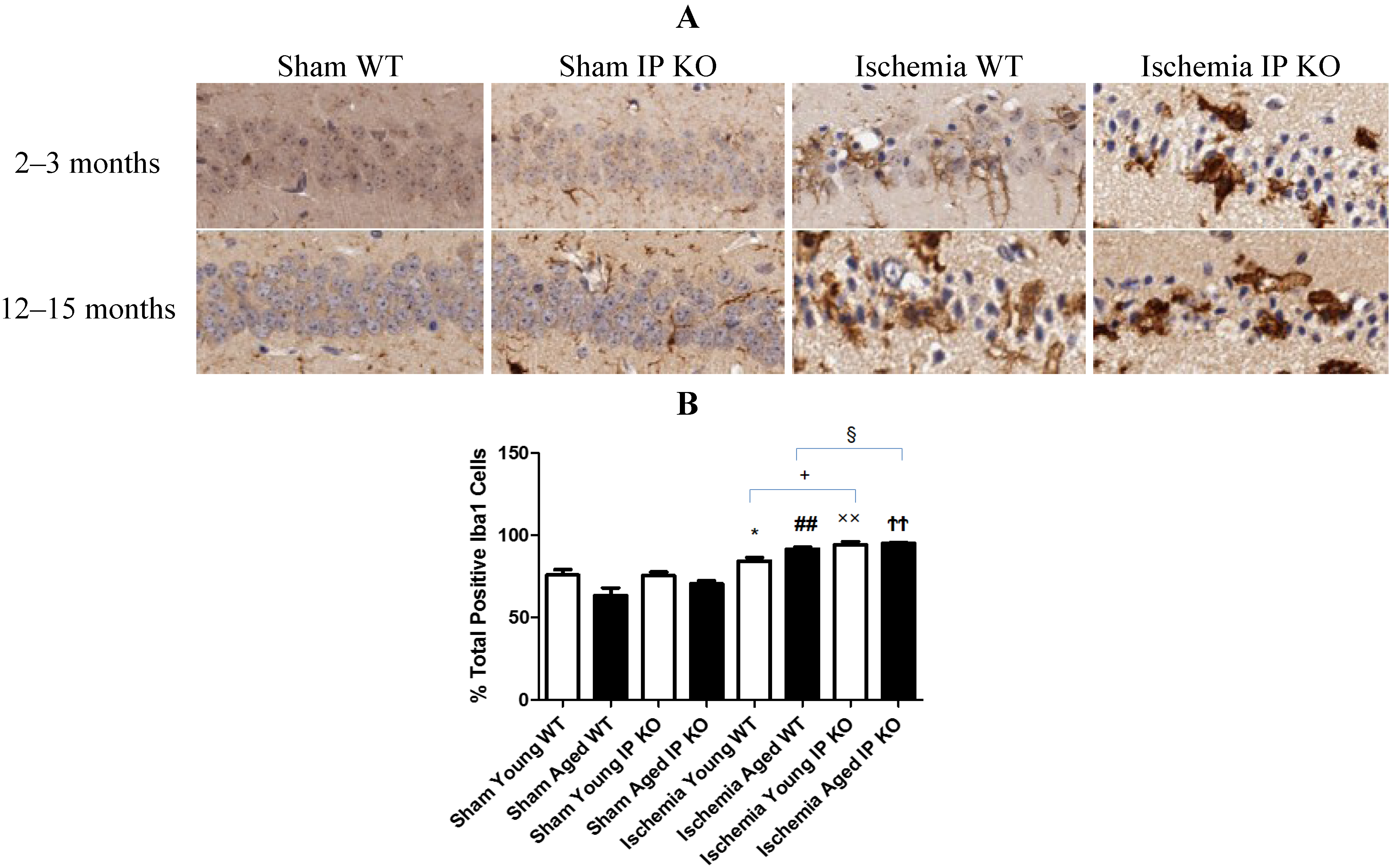 Brainsci 03 01095 g005