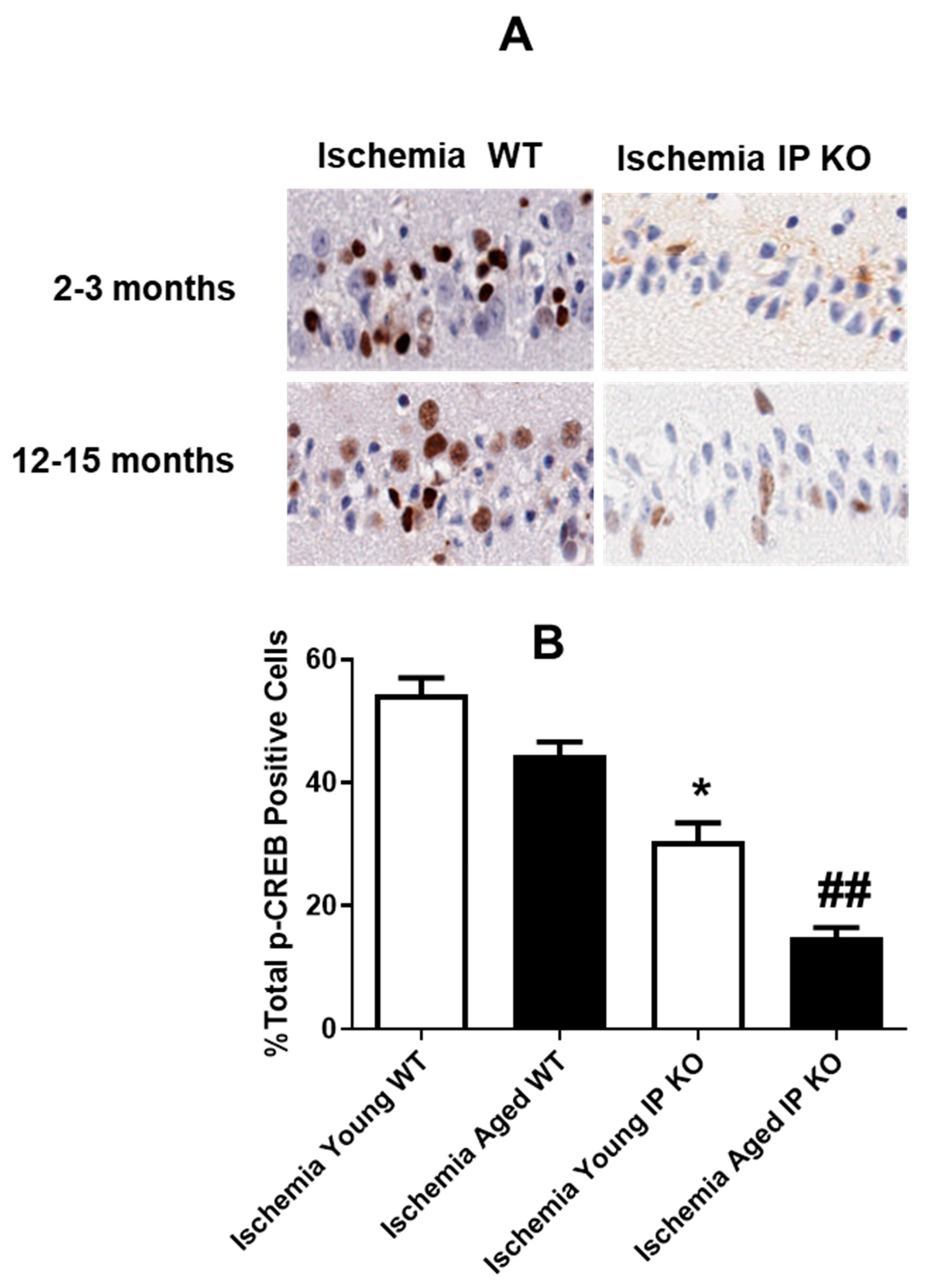 Brainsci 03 01095 g007