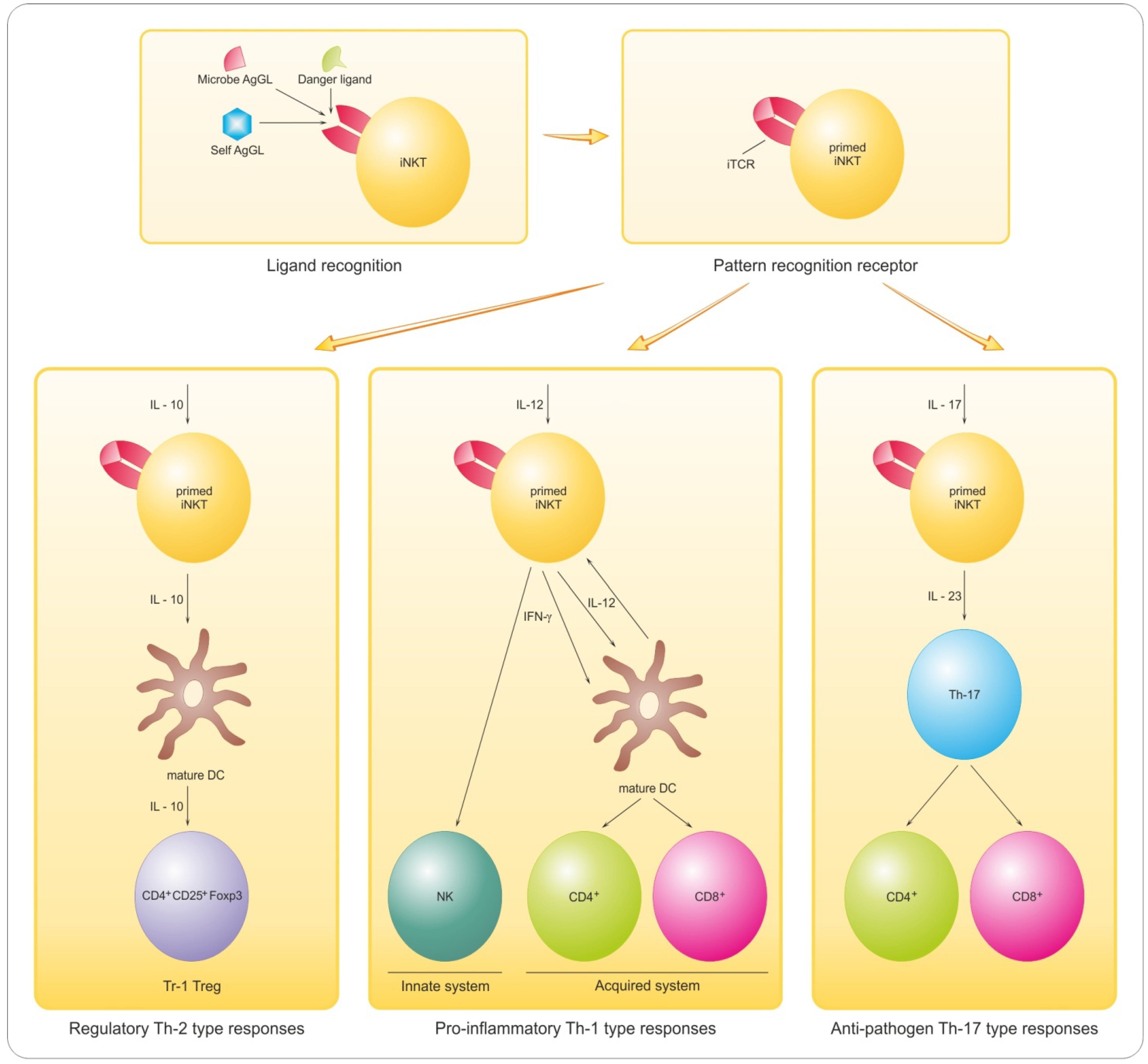 Brainsci 03 01282 g005