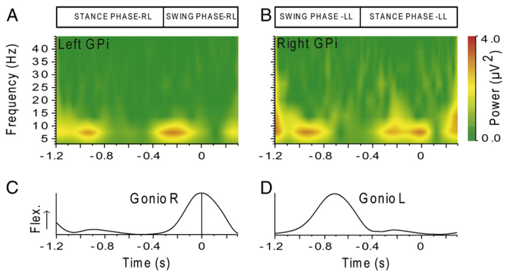 Brainsci 04 00001 g008 1024