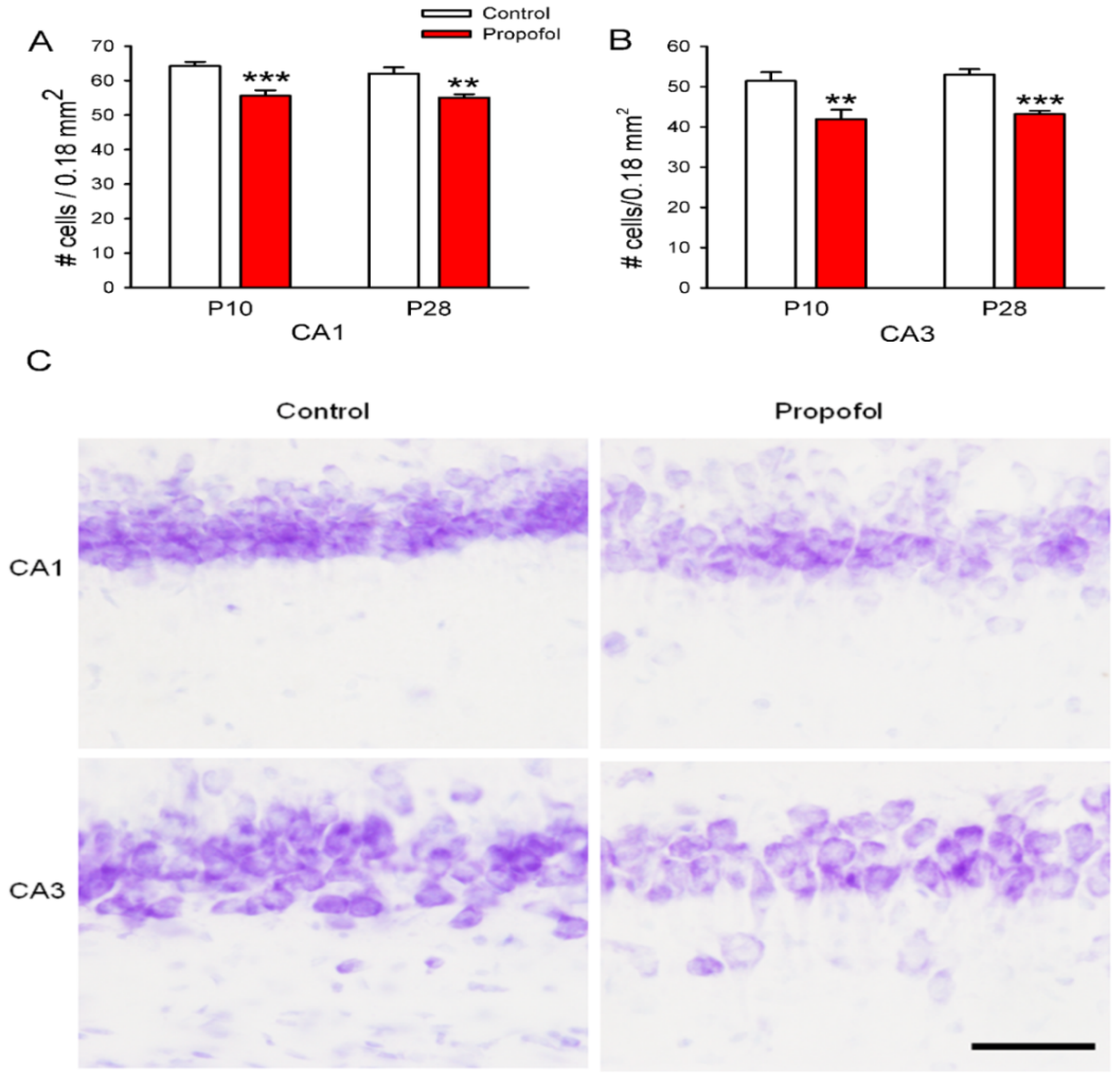 Brainsci 04 00356 g003