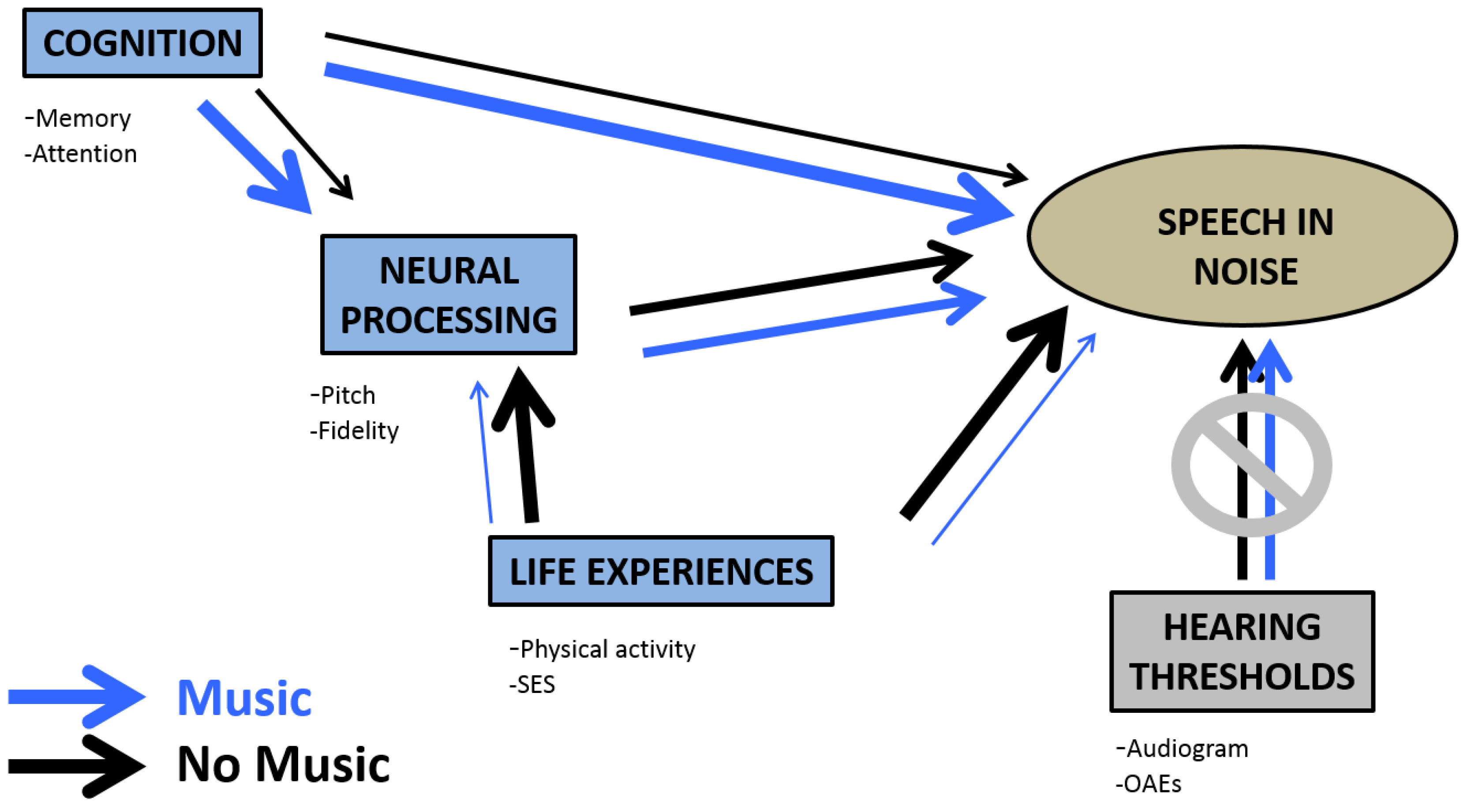 Processing and neural. Speech processing program. Speech processing schema. Speech processing filtering. Cognition Faults.