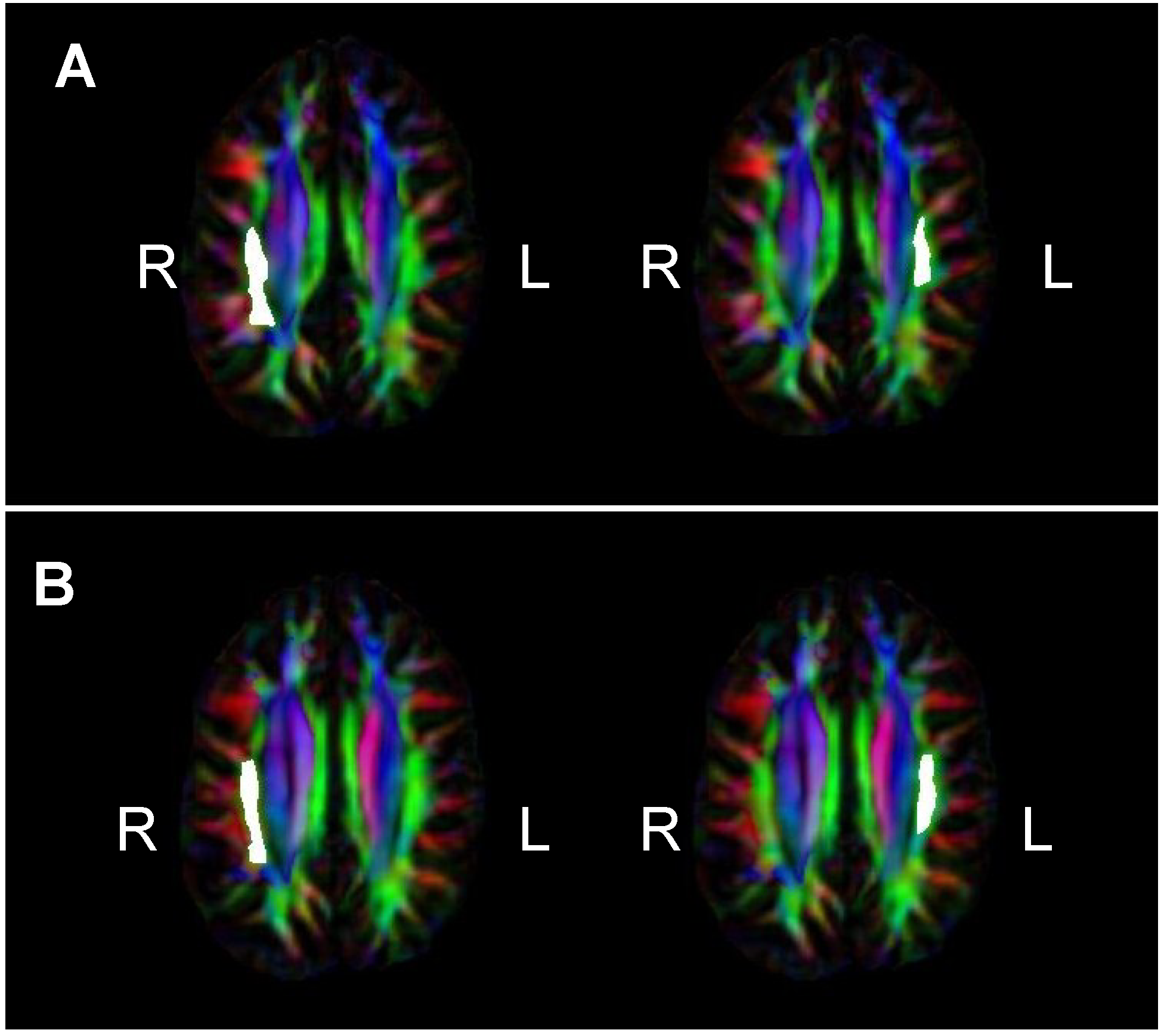 Brainsci 04 00594 g002
