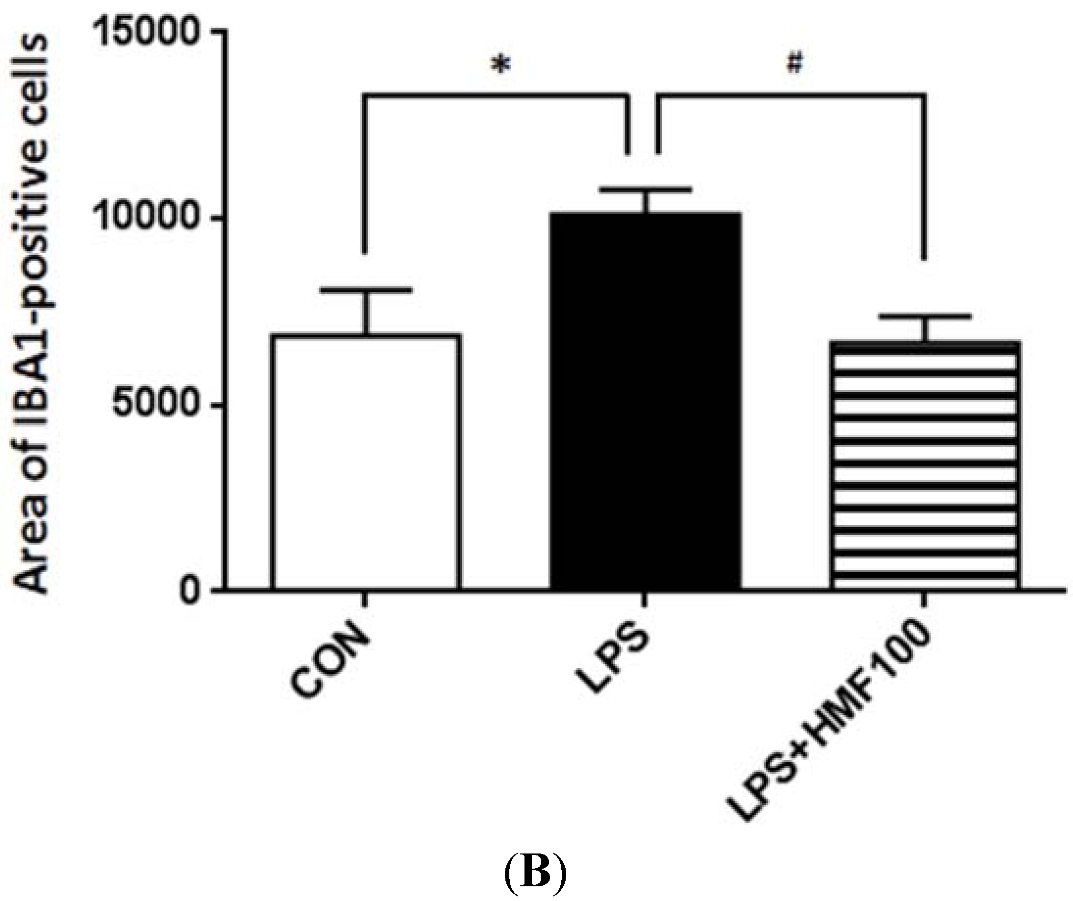 Brainsci 05 00118 g003b 1024