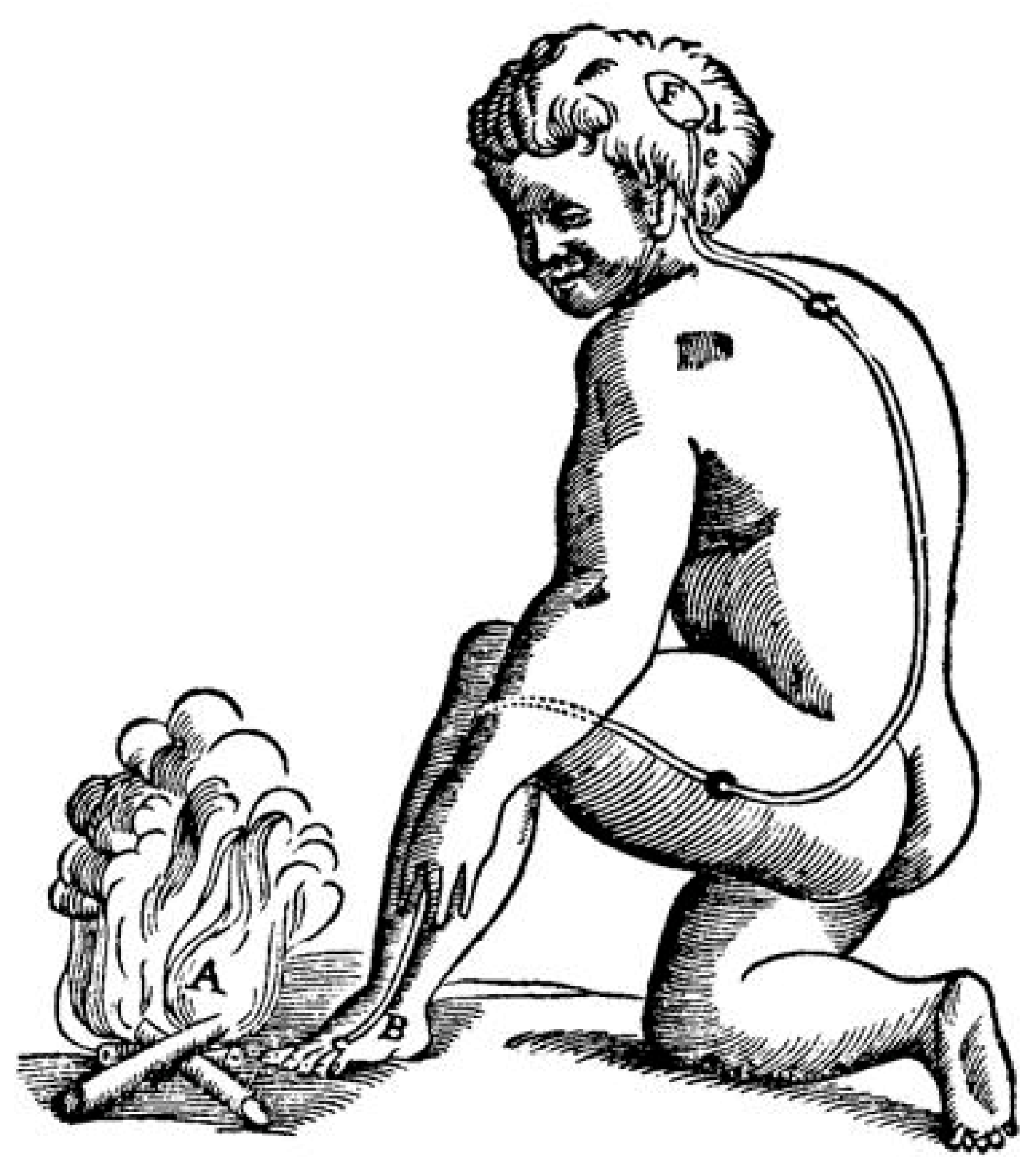 Brainsci 05 00521 g004 1024