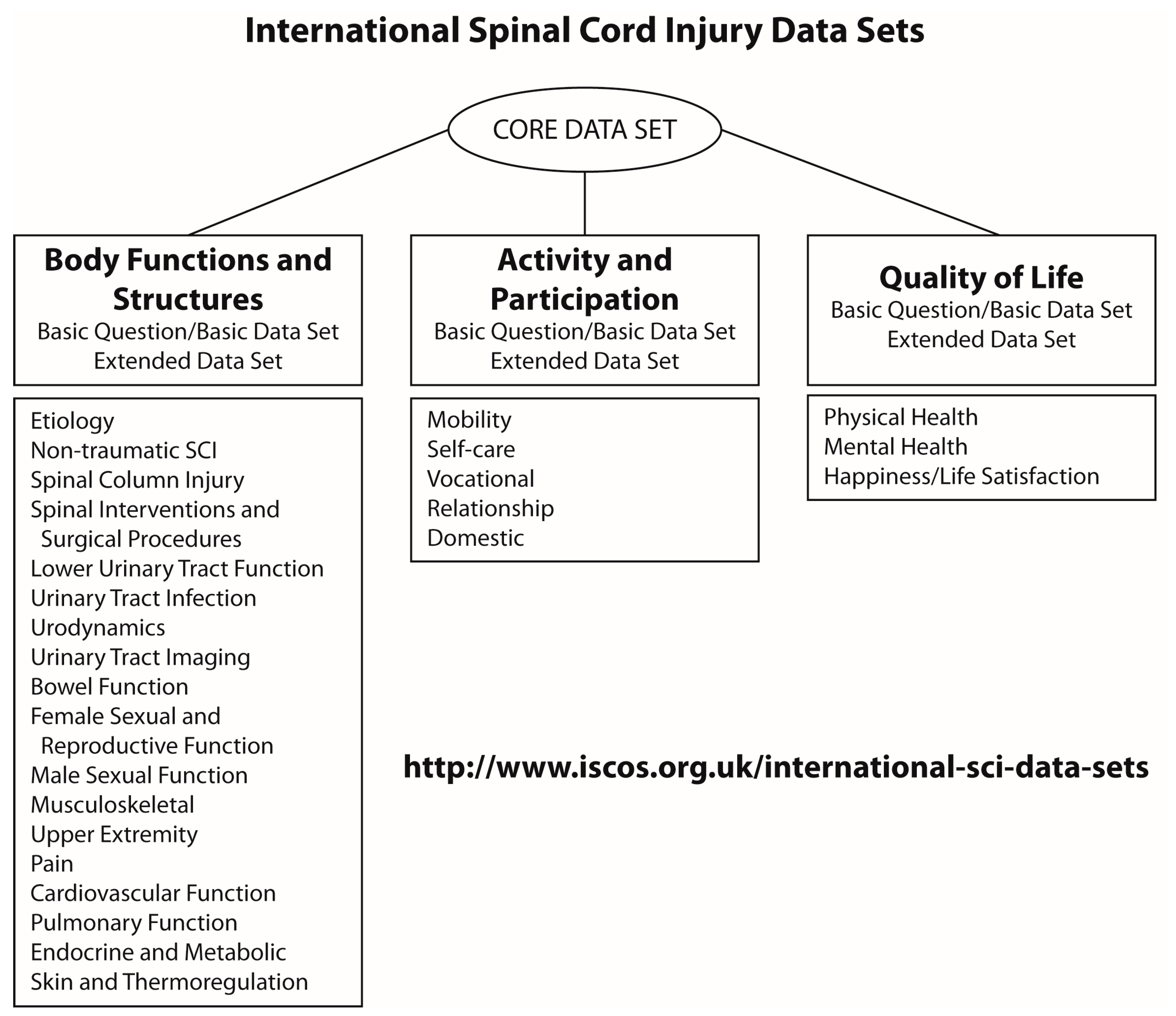 Brain Sciences | Free | Standardization of Data for Clinical Use and Research in Spinal Cord Injury | HTML