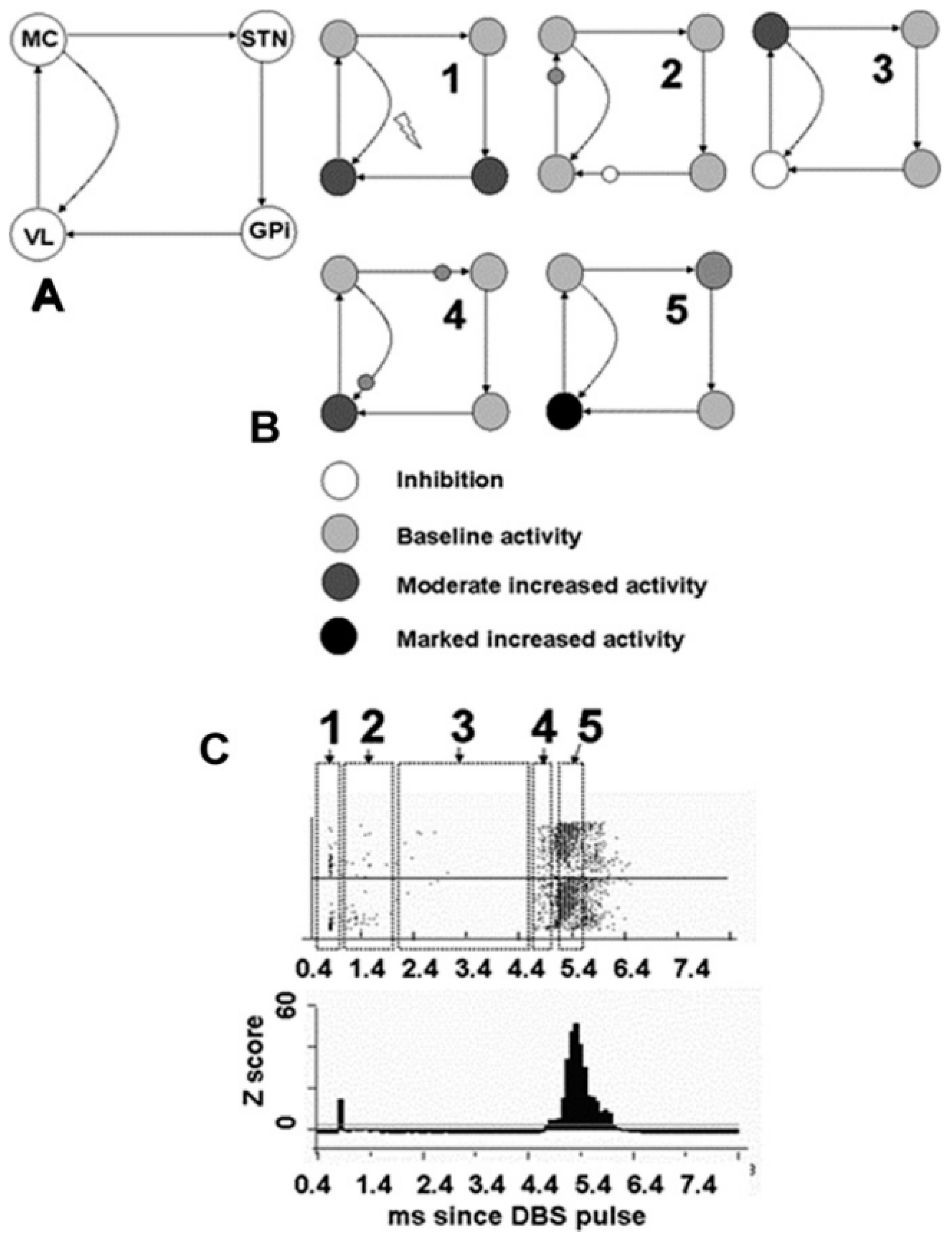 Brainsci 06 00034 g007