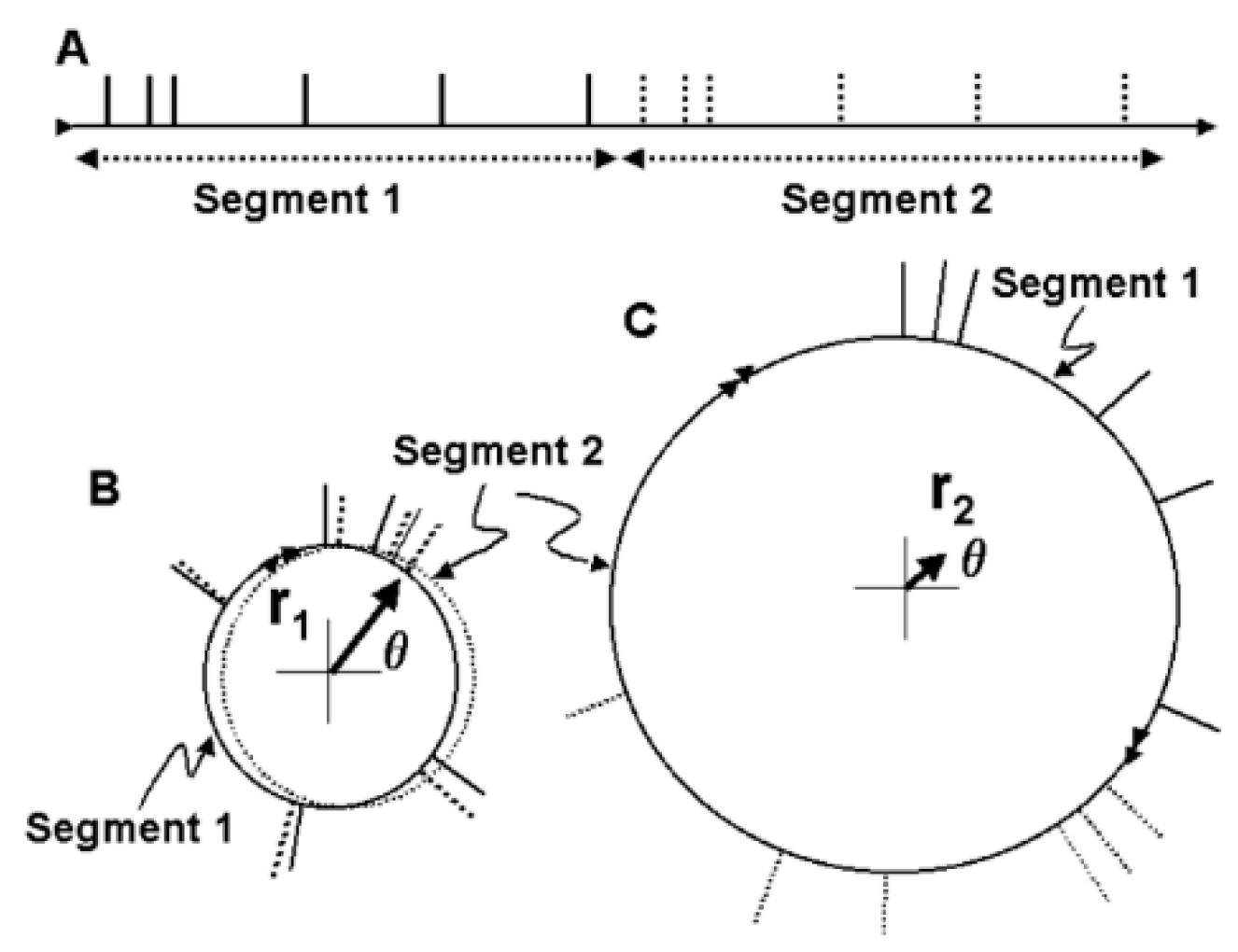 Brainsci 06 00034 g010