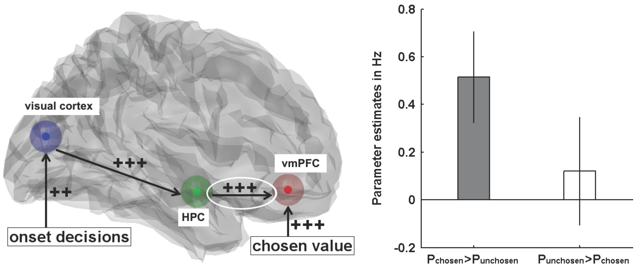 Brainsci 07 00004 g005