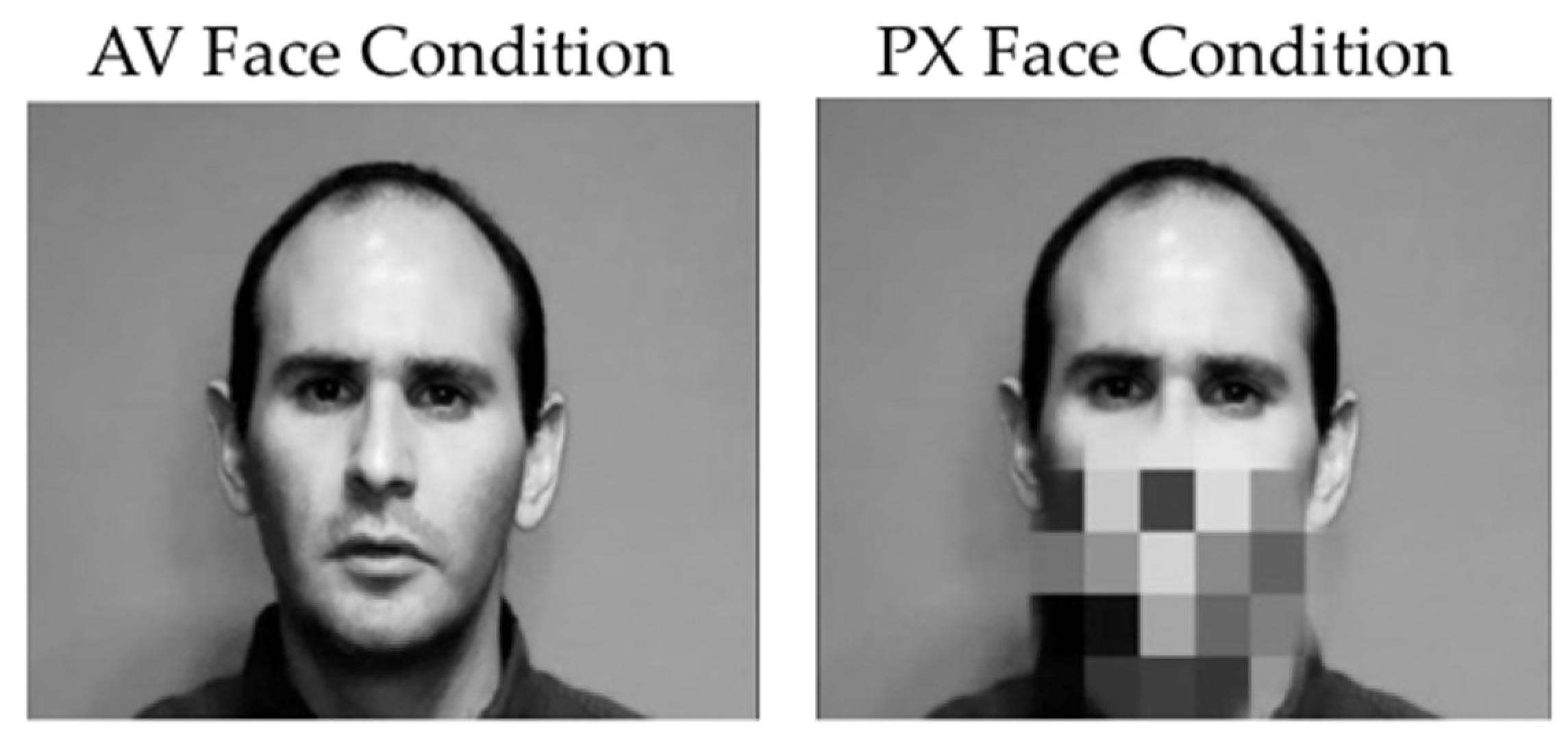 Brainsci 07 00060 g002 550