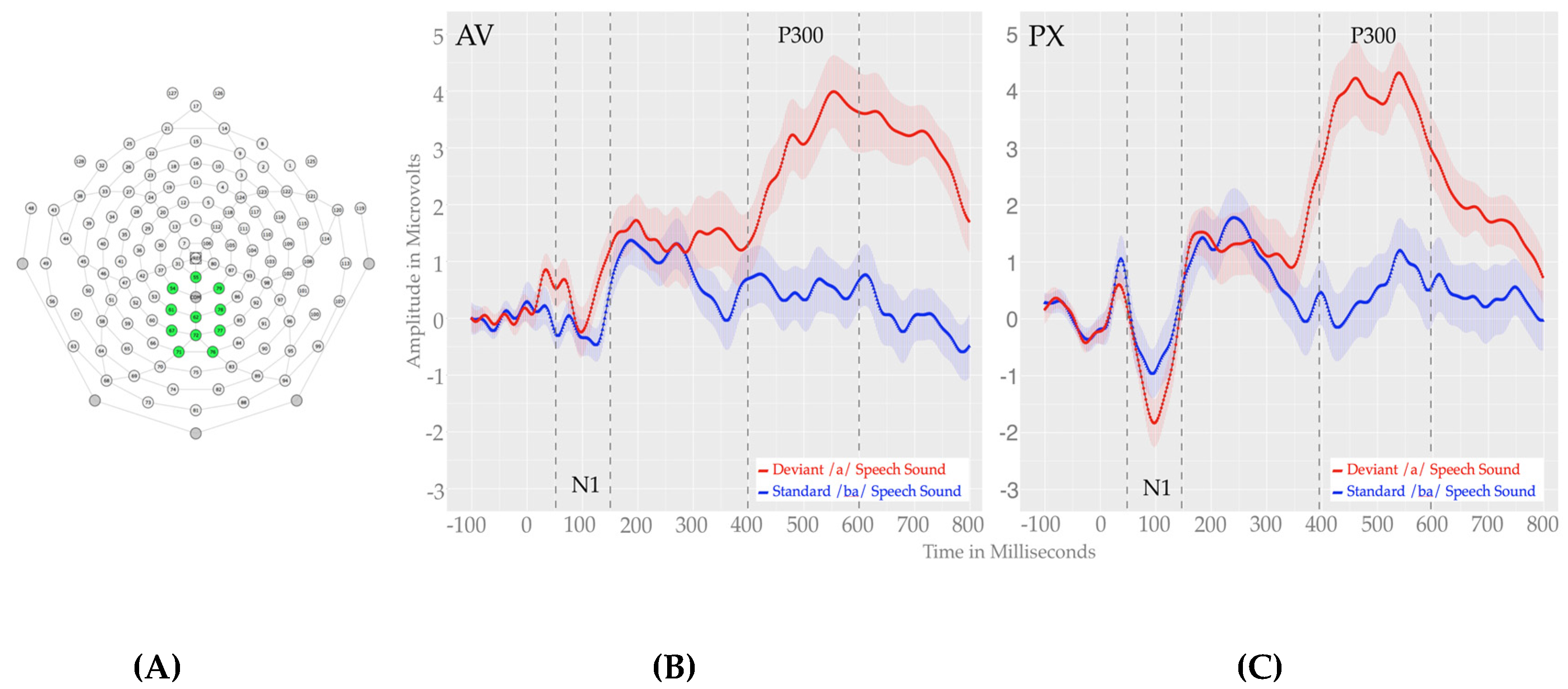 Brainsci 07 00060 g003 550