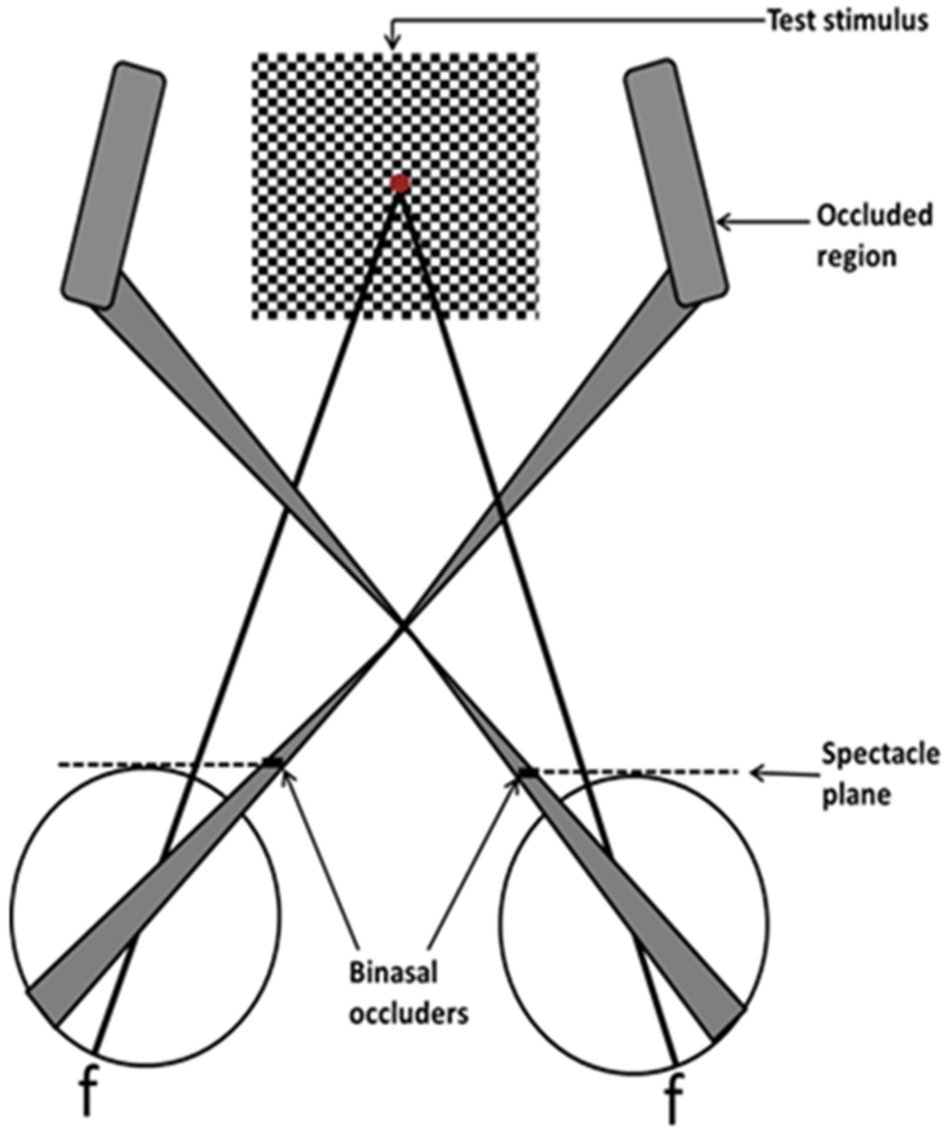 Brainsci 07 00098 g004